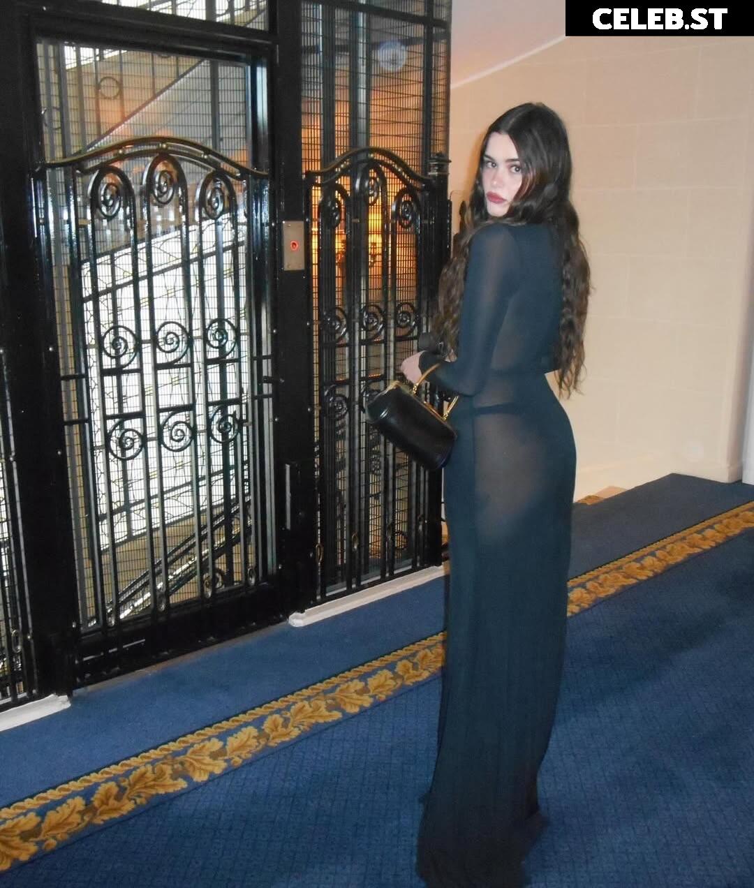 Barbie Ferreira (Euphoria actress) Image 22961638