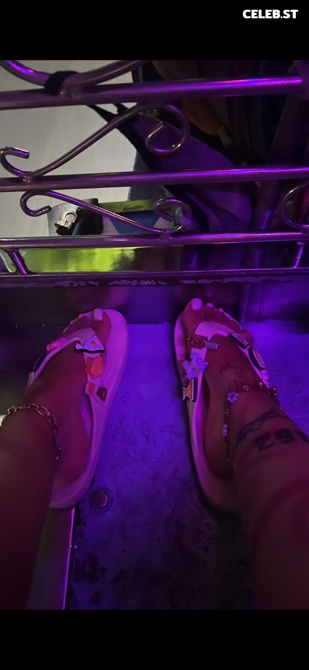 Maryscrib Image 2297892