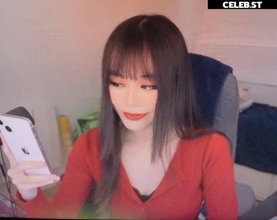 Saiiren Image 22947480