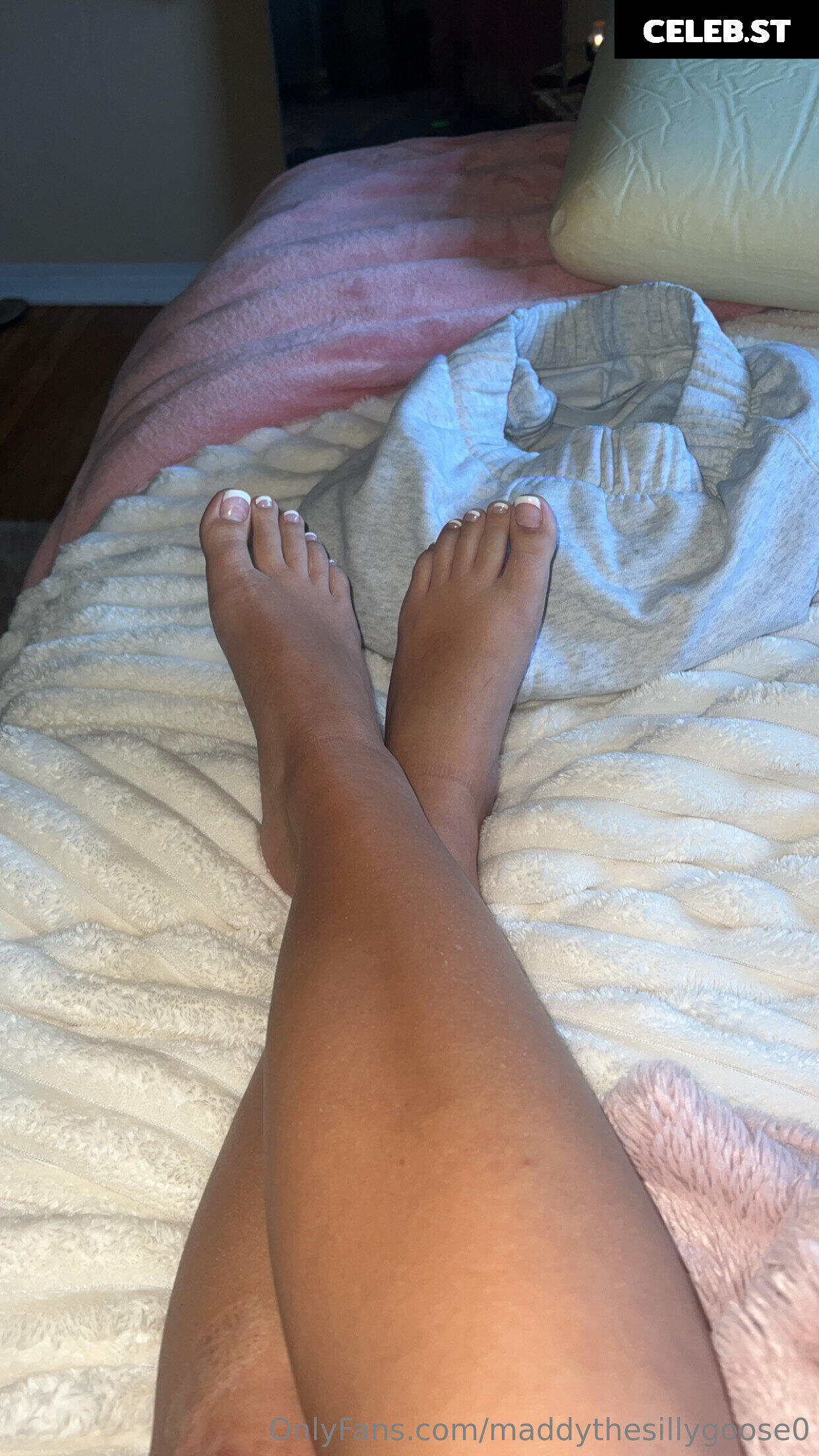 Madison Rose Image 22941336