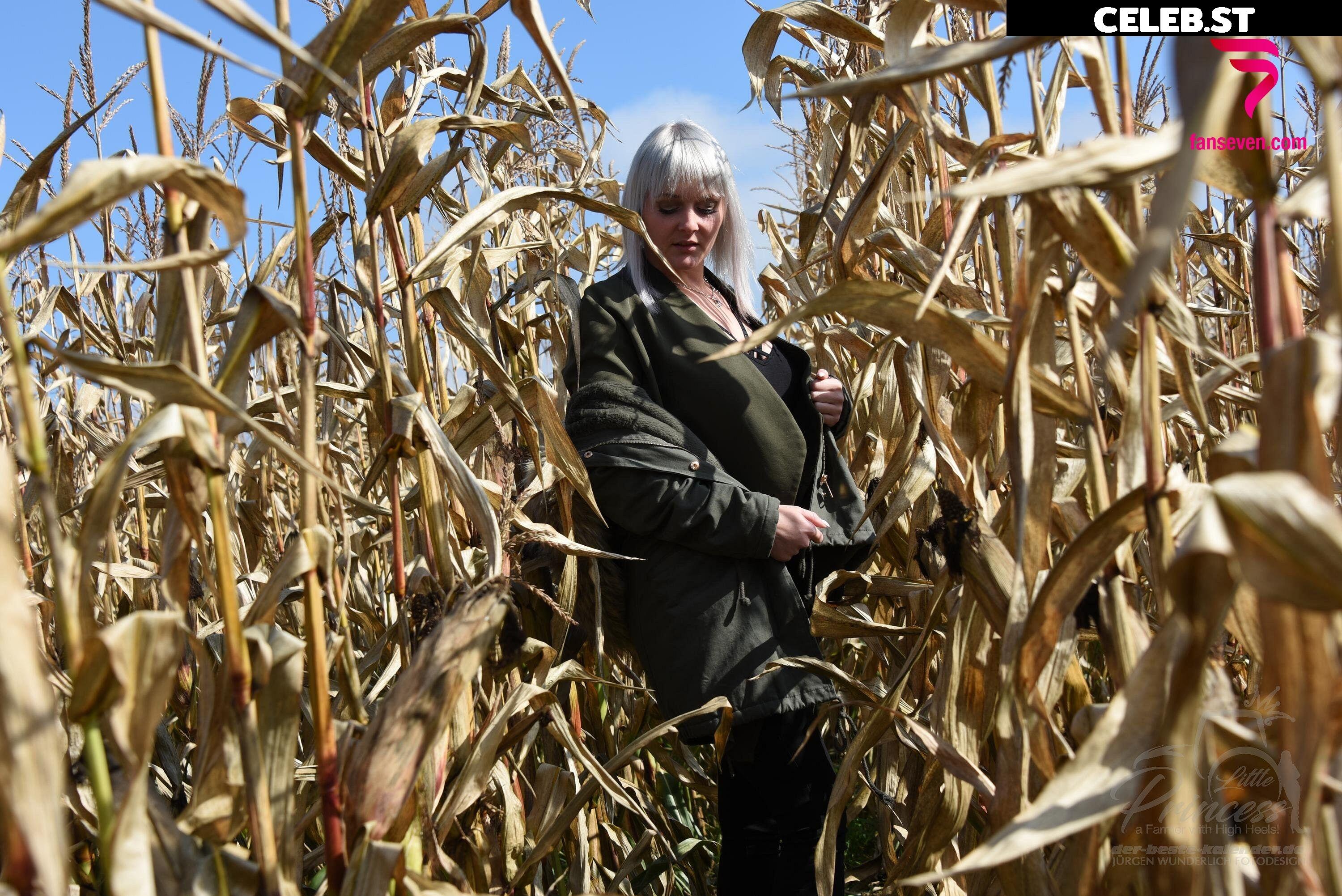 Little Princess Hedi Image 2293421