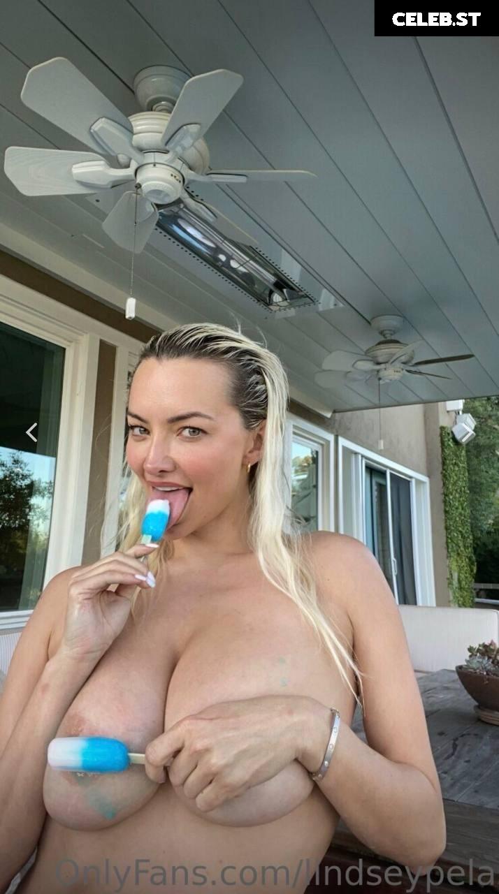Lindsey Pelas Image 2293289
