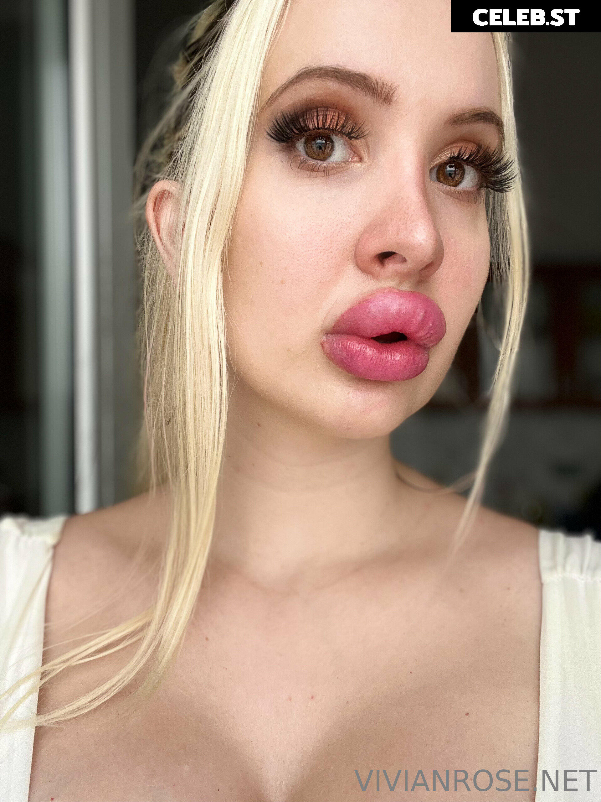 Vivian Rose Image 2299431