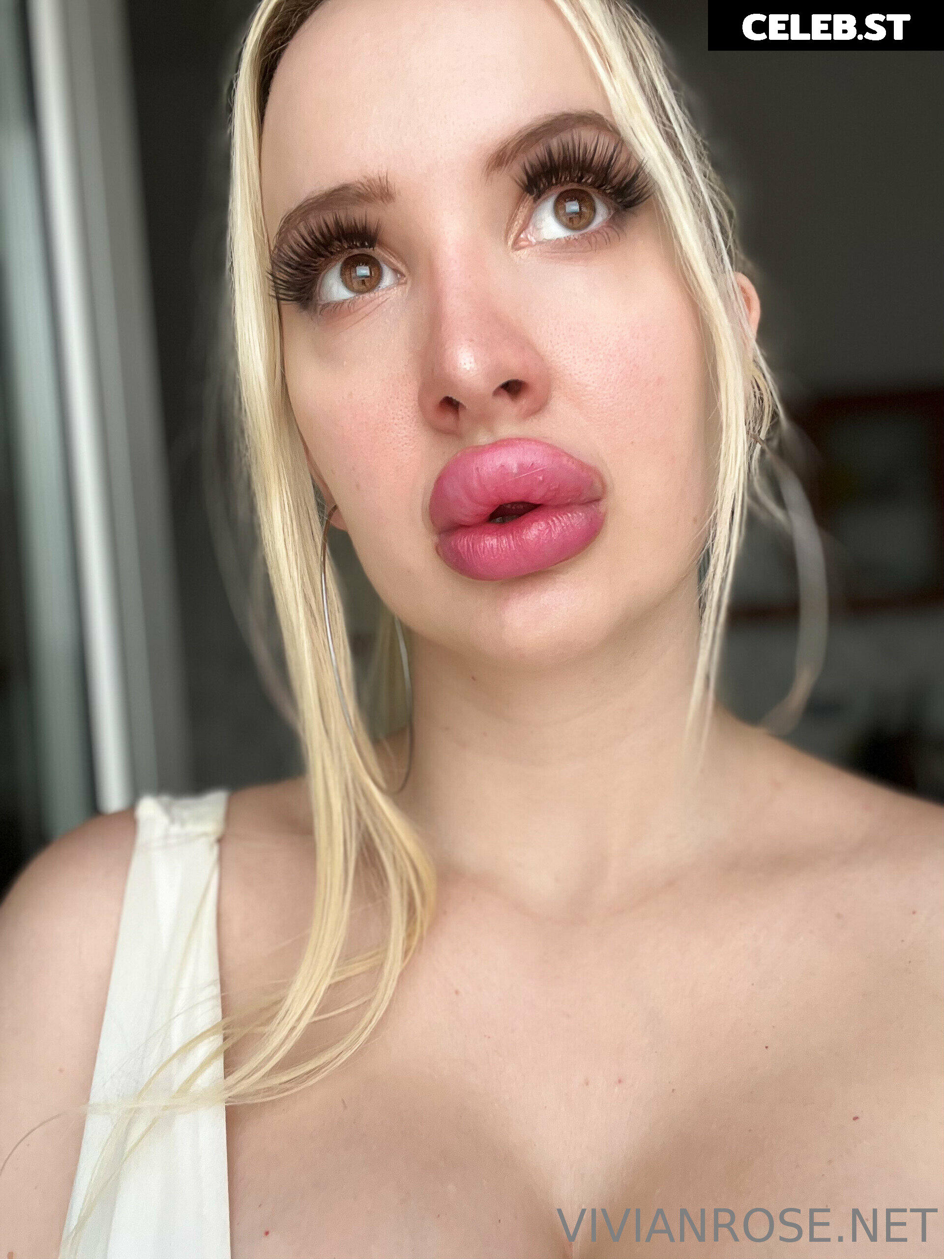 Vivian Rose Image 2299697