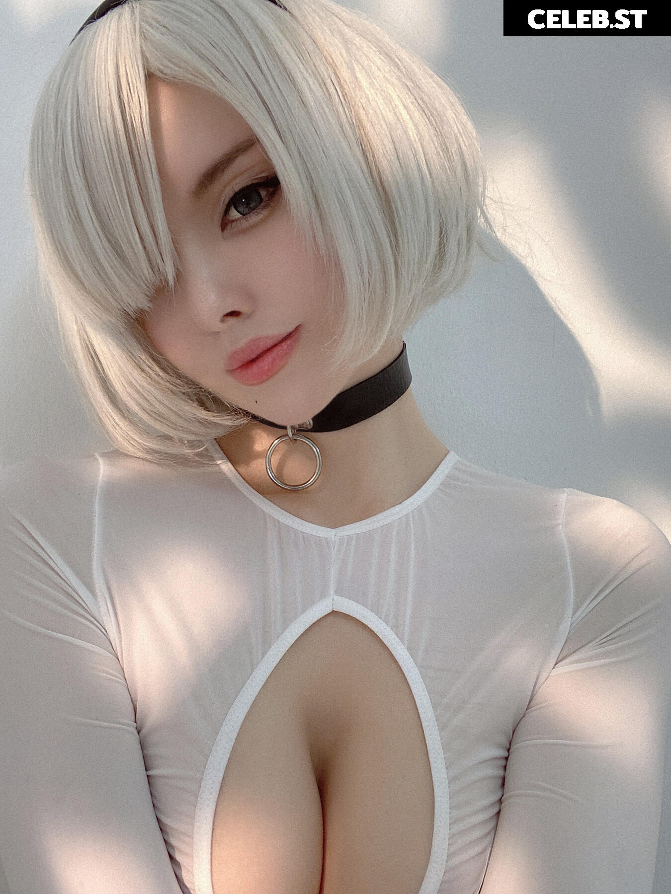 Vinnegal Image 2285523