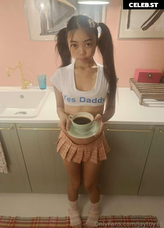 JayToy15 Image 228613