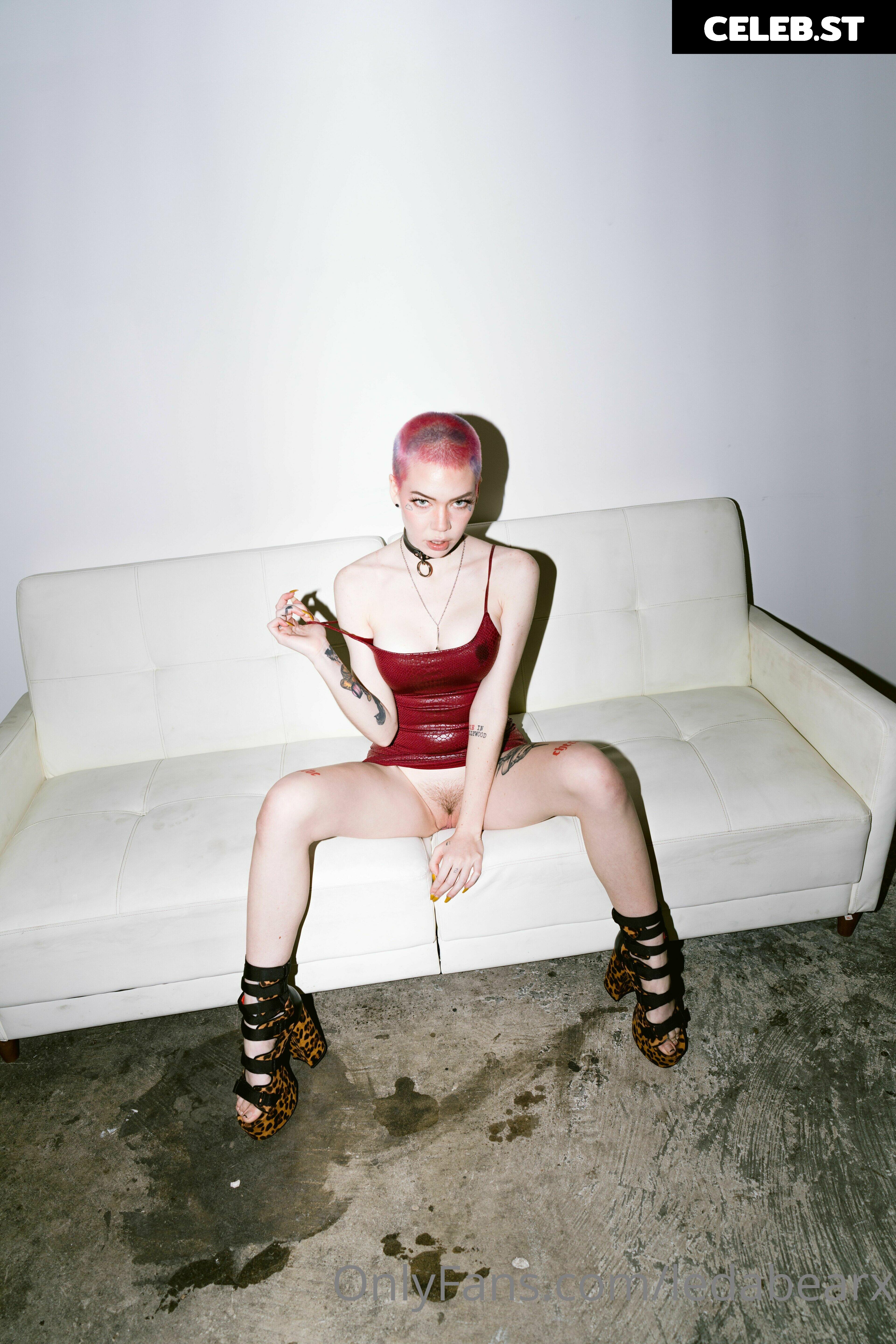 Leda Bear - Leda Elizabeth Image 22862850