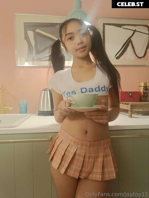 JayToy15 Image 228627