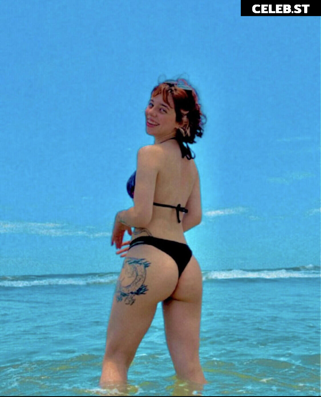 Brenda Zelinski Image 22811823