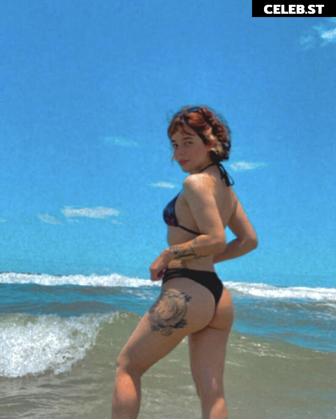 Brenda Zelinski Image 22811822