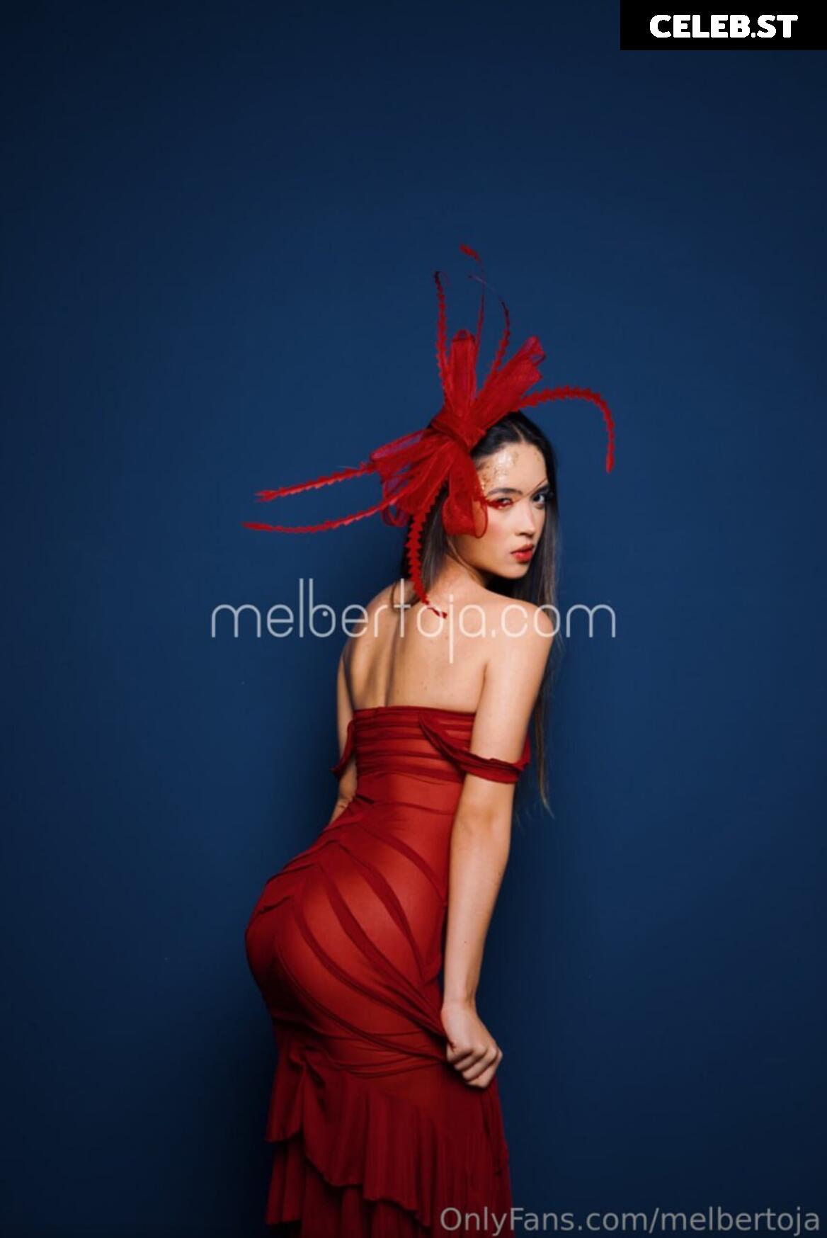 Mel Bertoja Image 22811763