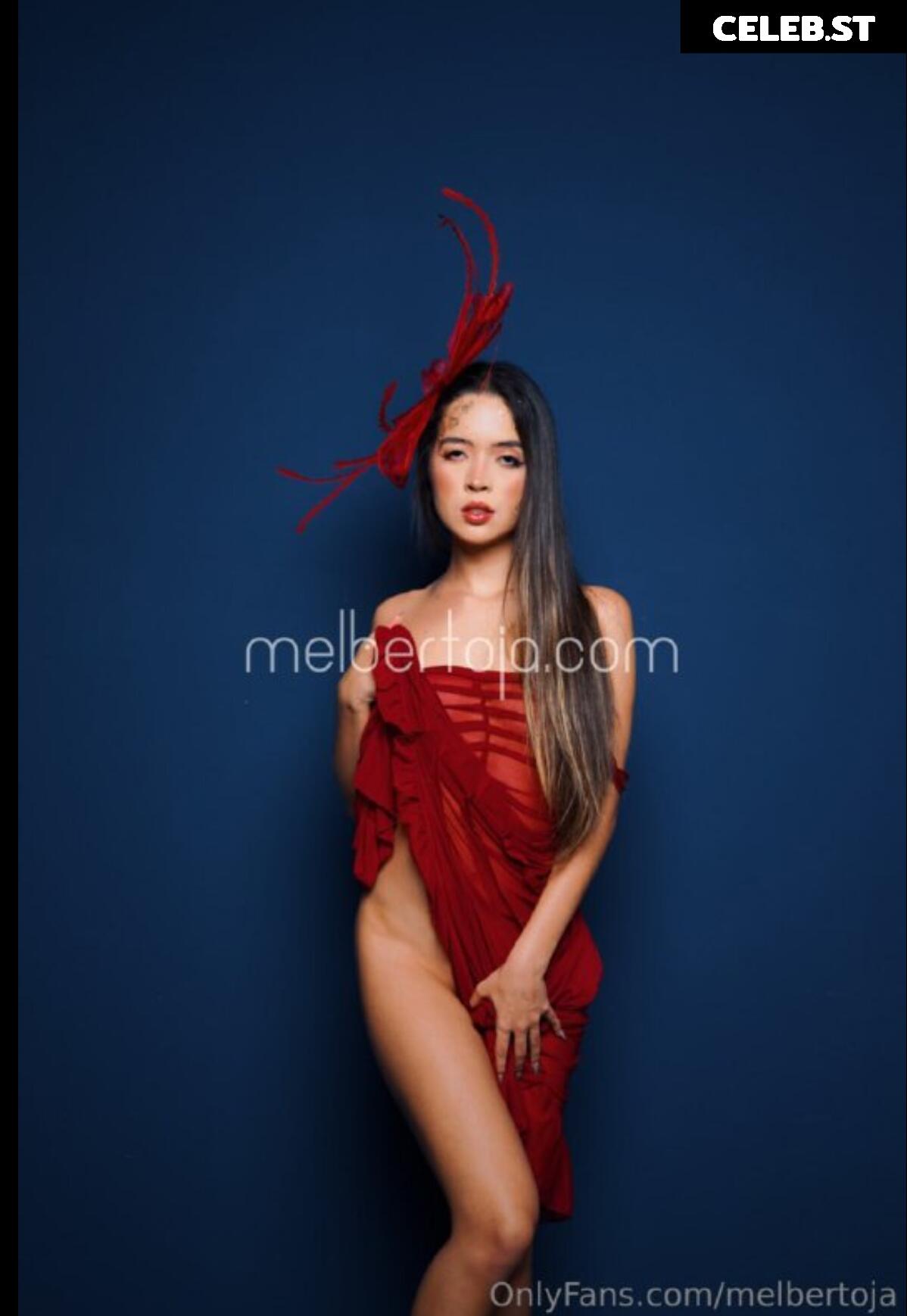 Mel Bertoja Image 22811754