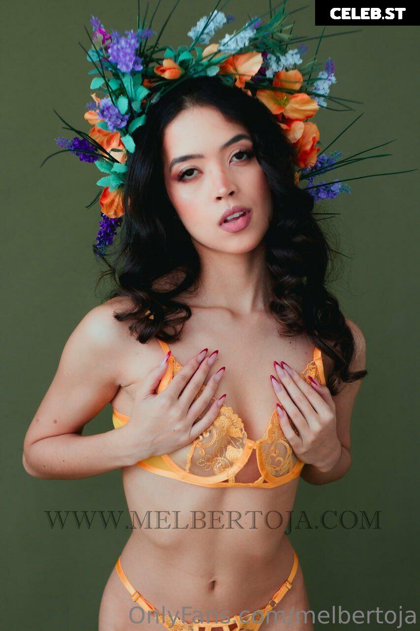 Mel Bertoja Image 22811652