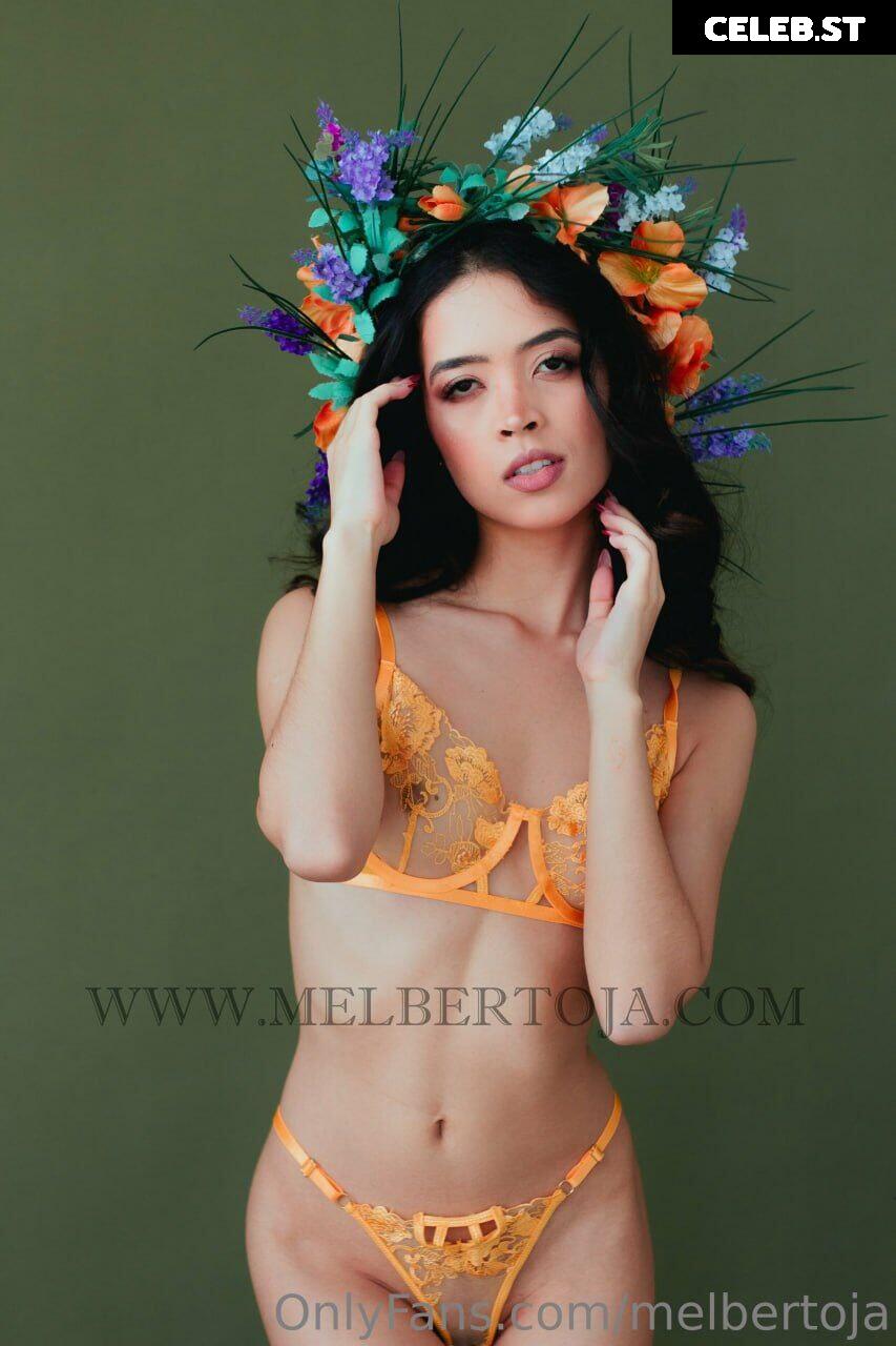 Mel Bertoja Image 22811651