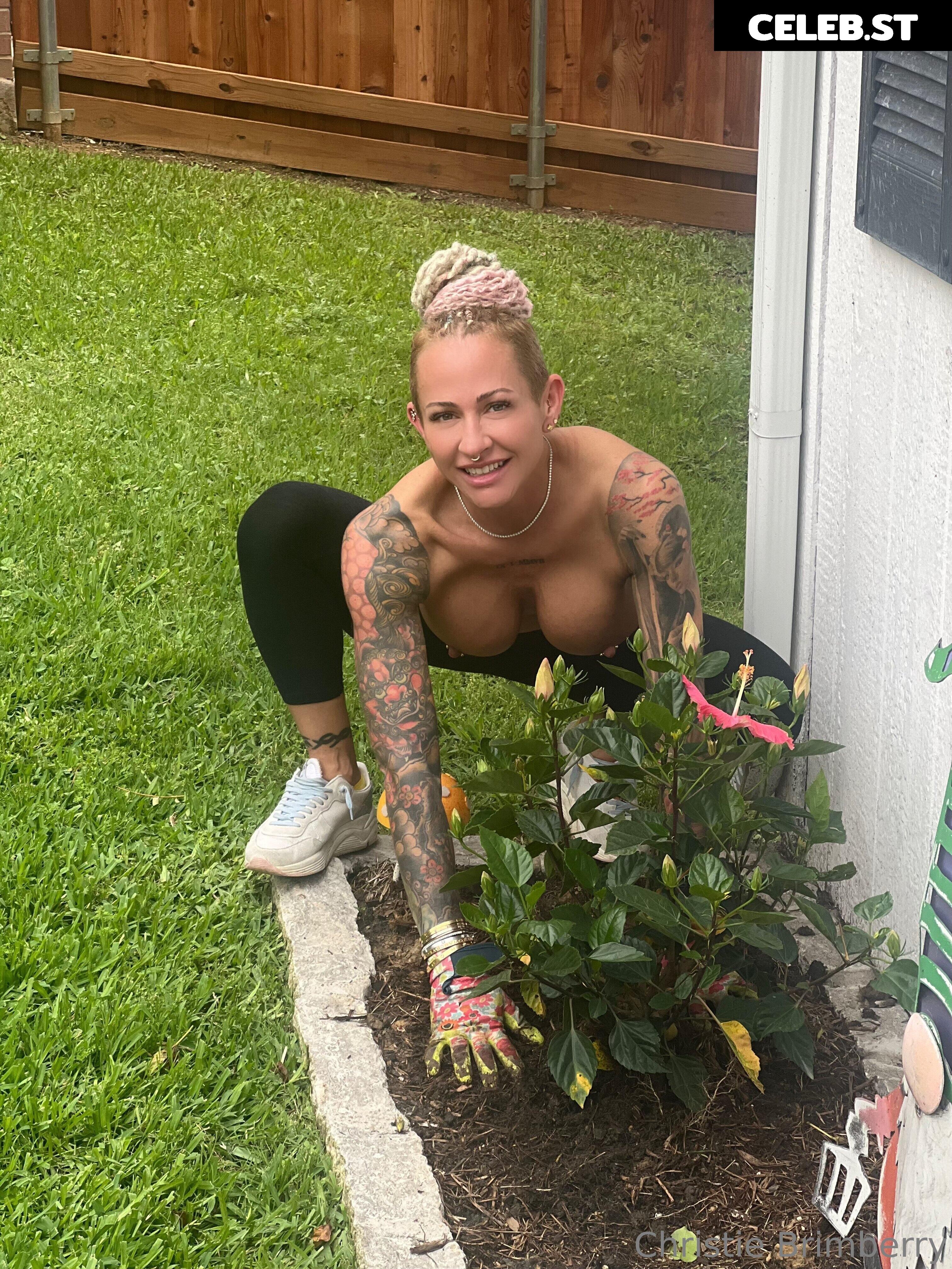Christie Brimberry Image 2282270