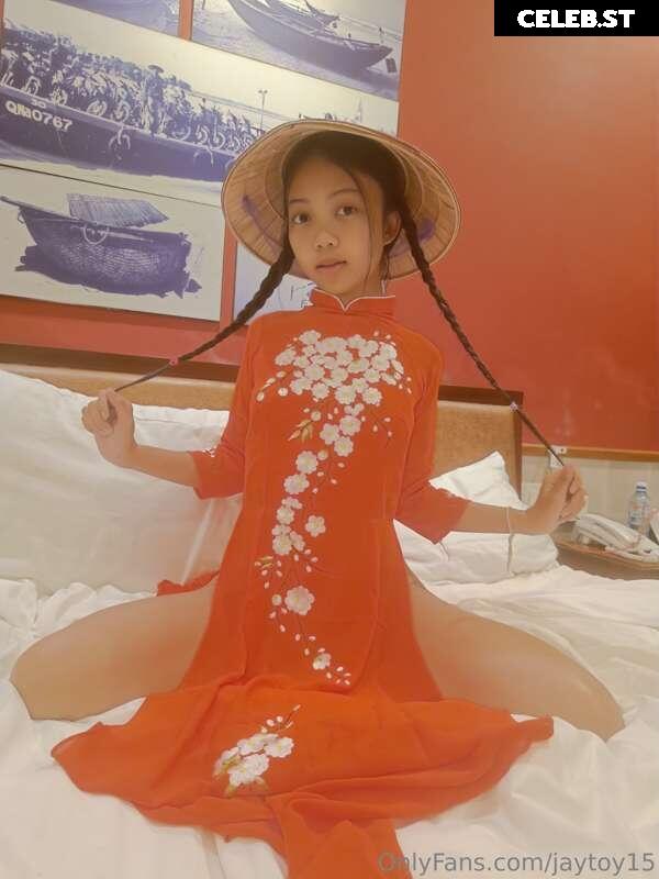 JayToy15 Image 228226