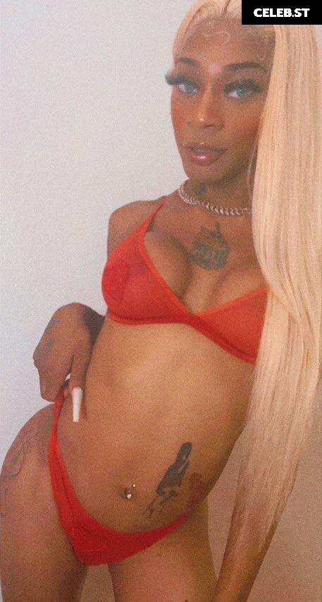 TheDreamDoll Image 22801917