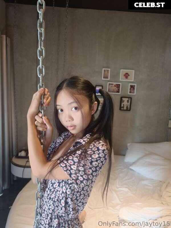 JayToy15 Image 228018