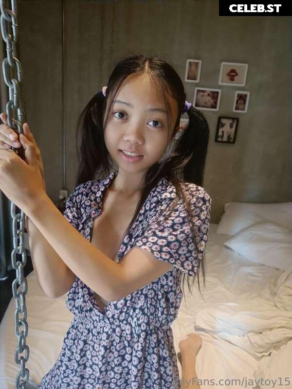 JayToy15 Image 228028