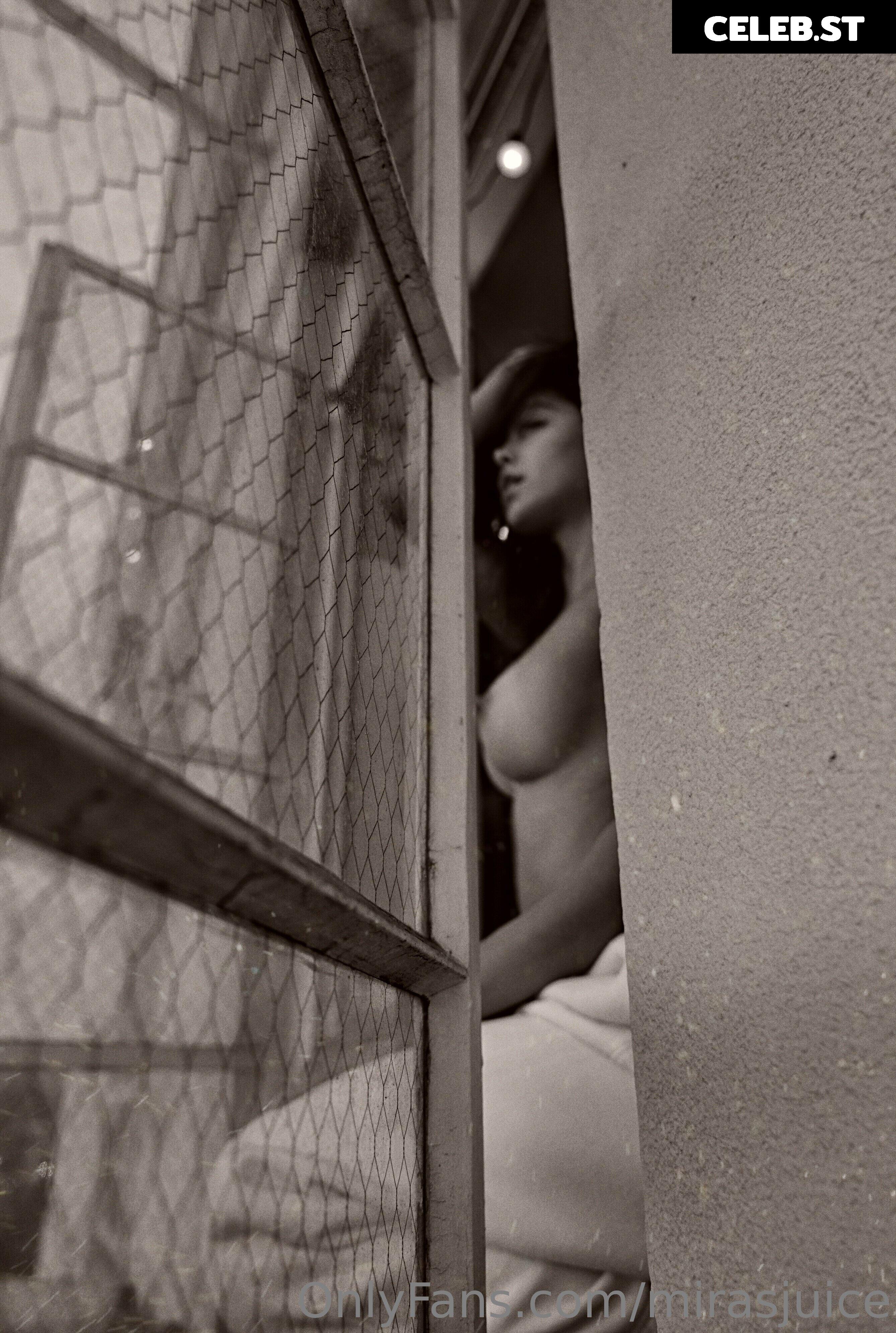 mirasjuice Image 2288208