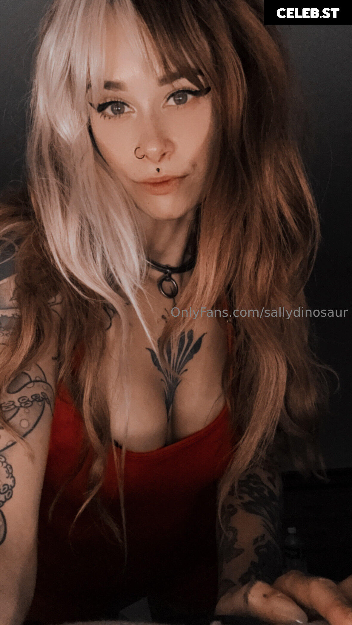 Sallydinosaur Image 2275793