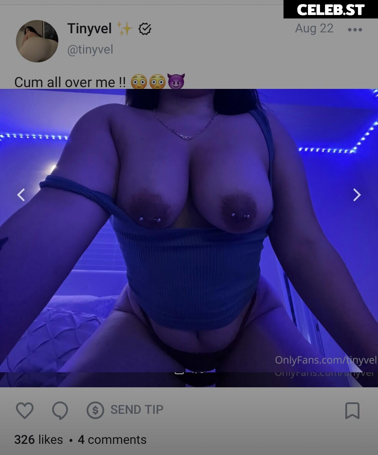 Tinyvel Image 22763571