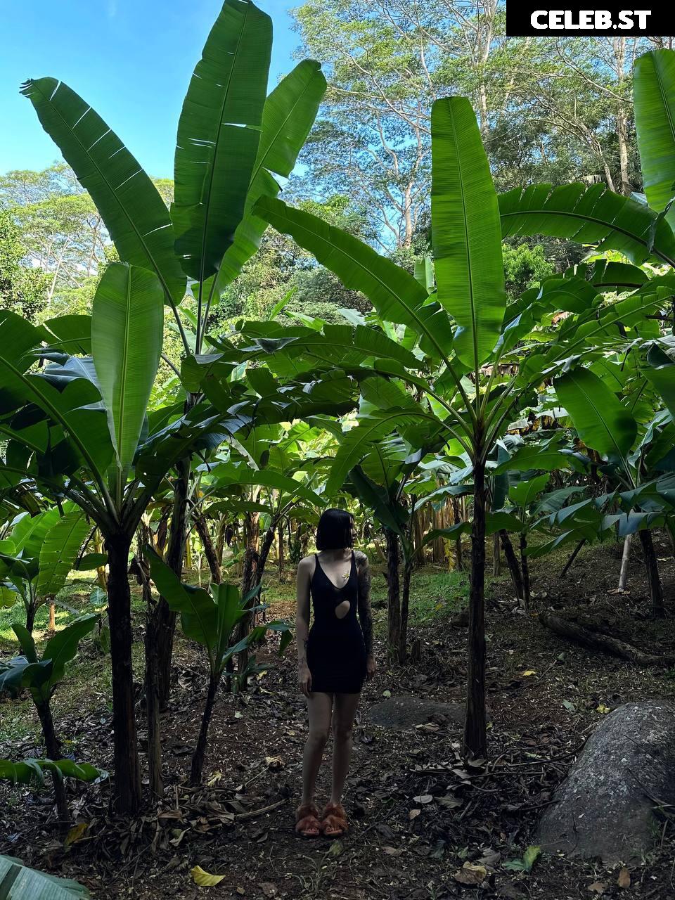 DianaRice / captaindianarice / nedianarice / Diana Shoka Image 22769767