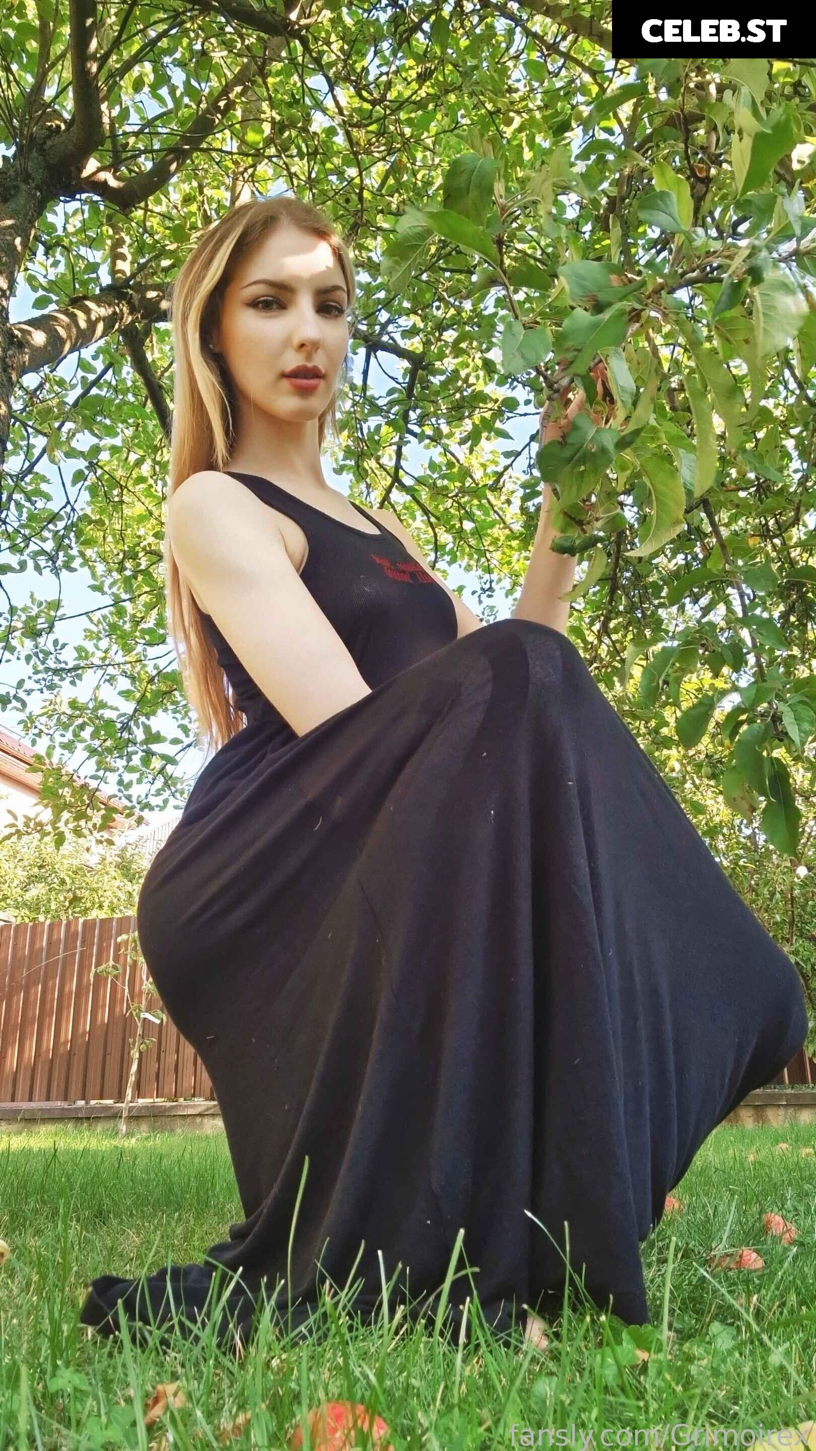 Grimoire Grim Grimmy Patreon Image 22727355