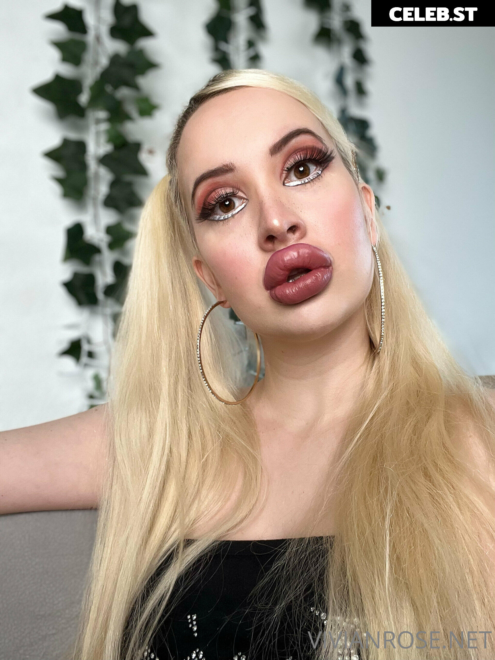 Vivian Rose Image 2272964