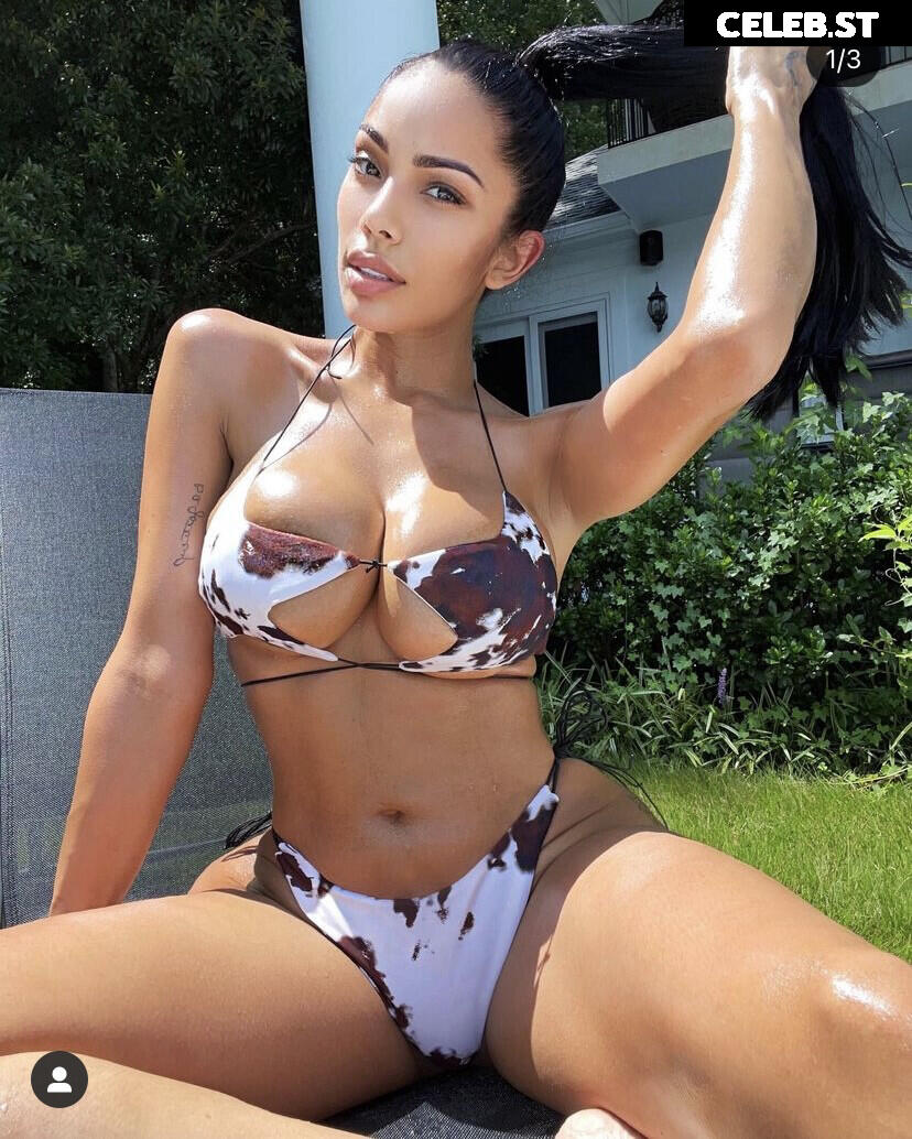 Erica Mena Image 22700093