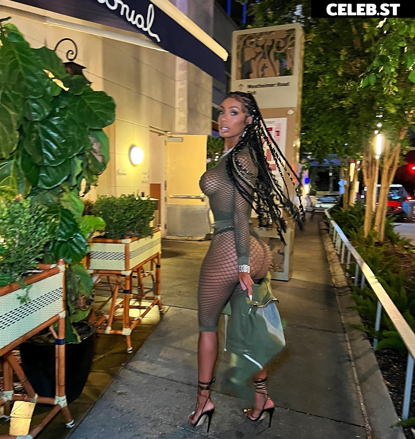 Erica Mena Image 22700097