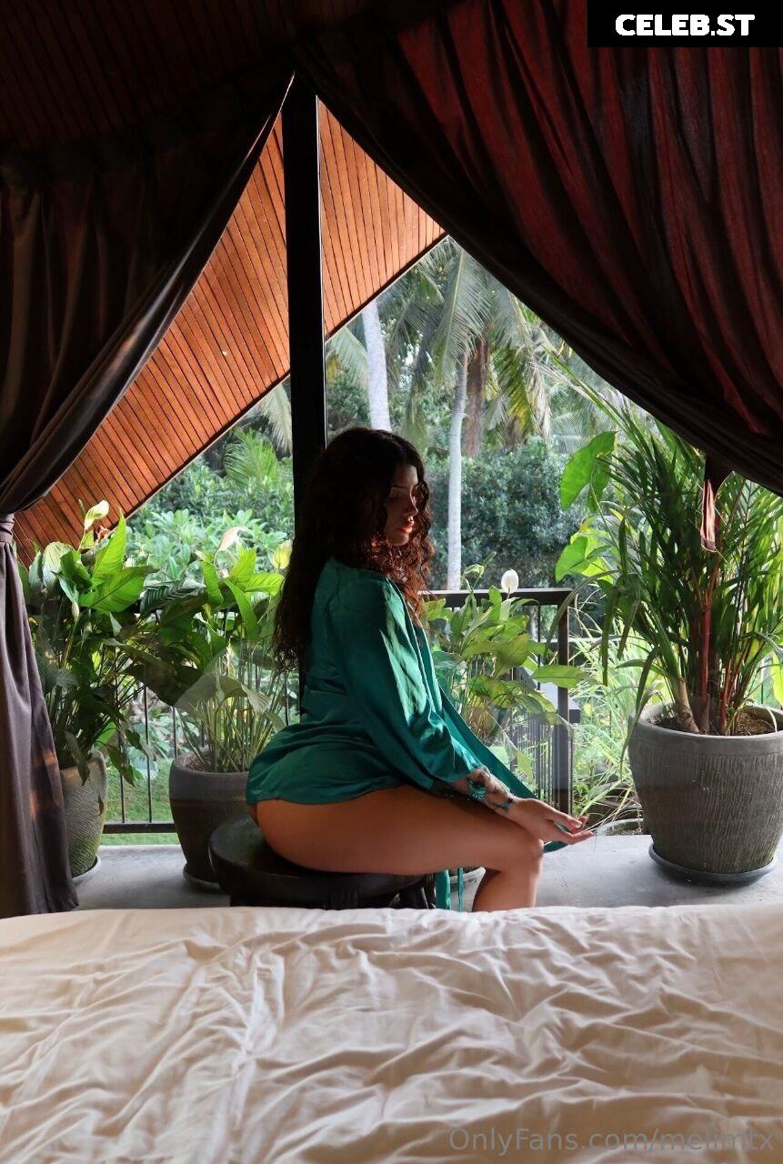 MelimTX Image 2279069