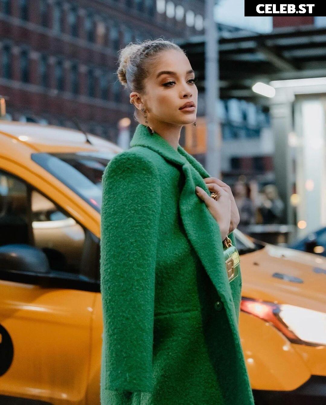 Jasmine Sanders/Golden Barbie Image 22793825
