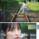 Women of Tokusatsu Image 22780730