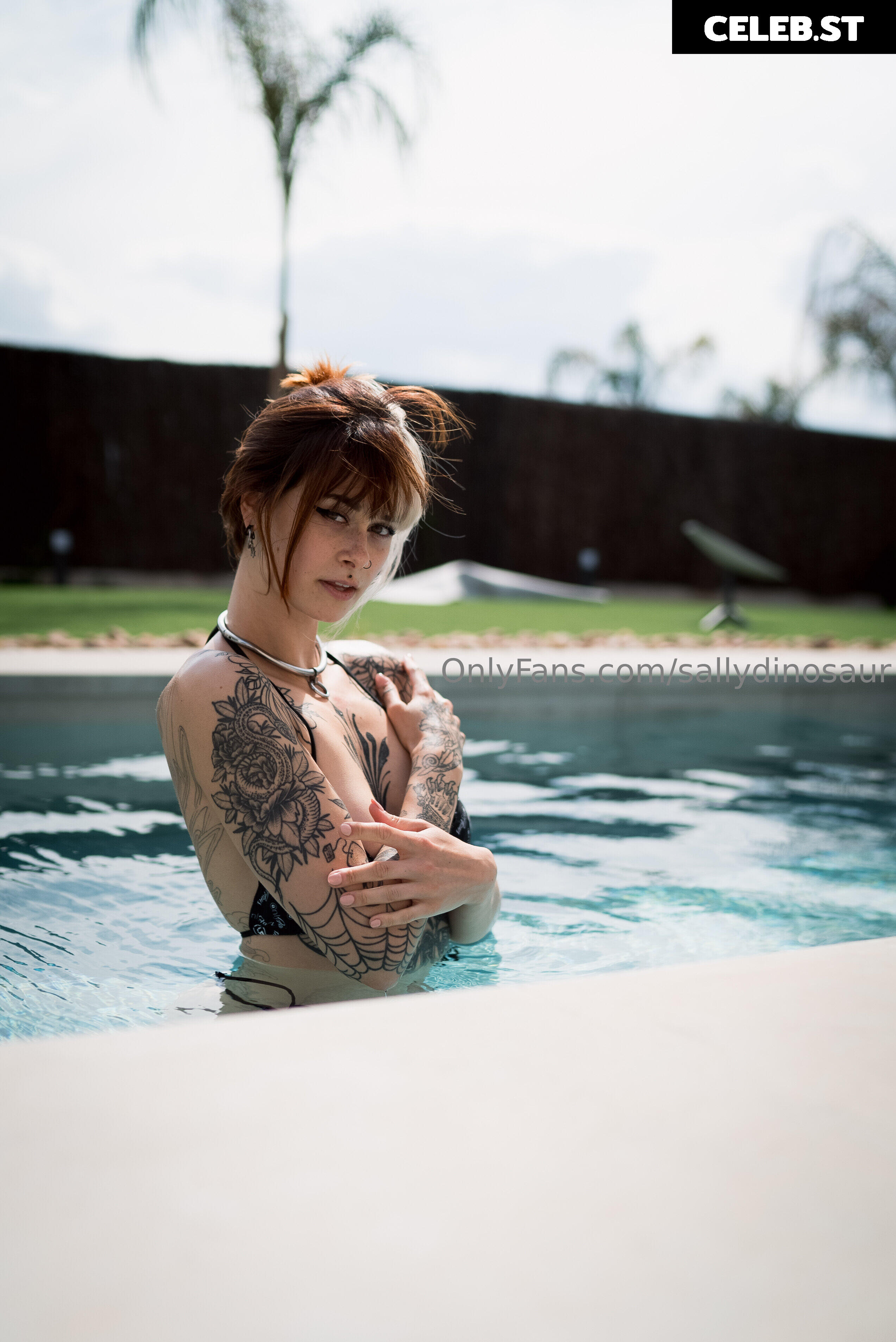 Sallydinosaur Image 2265508