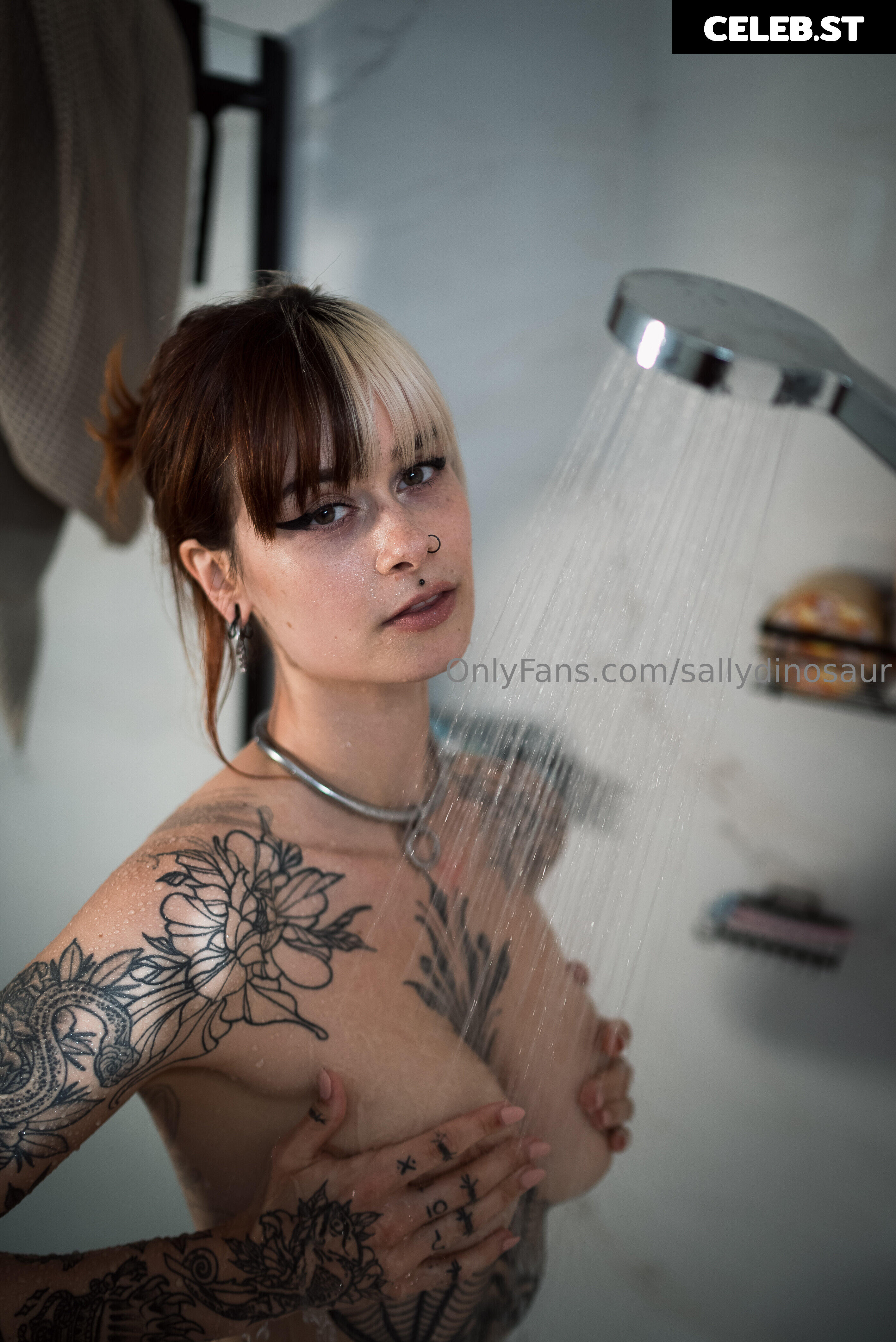 Sallydinosaur Image 2265783