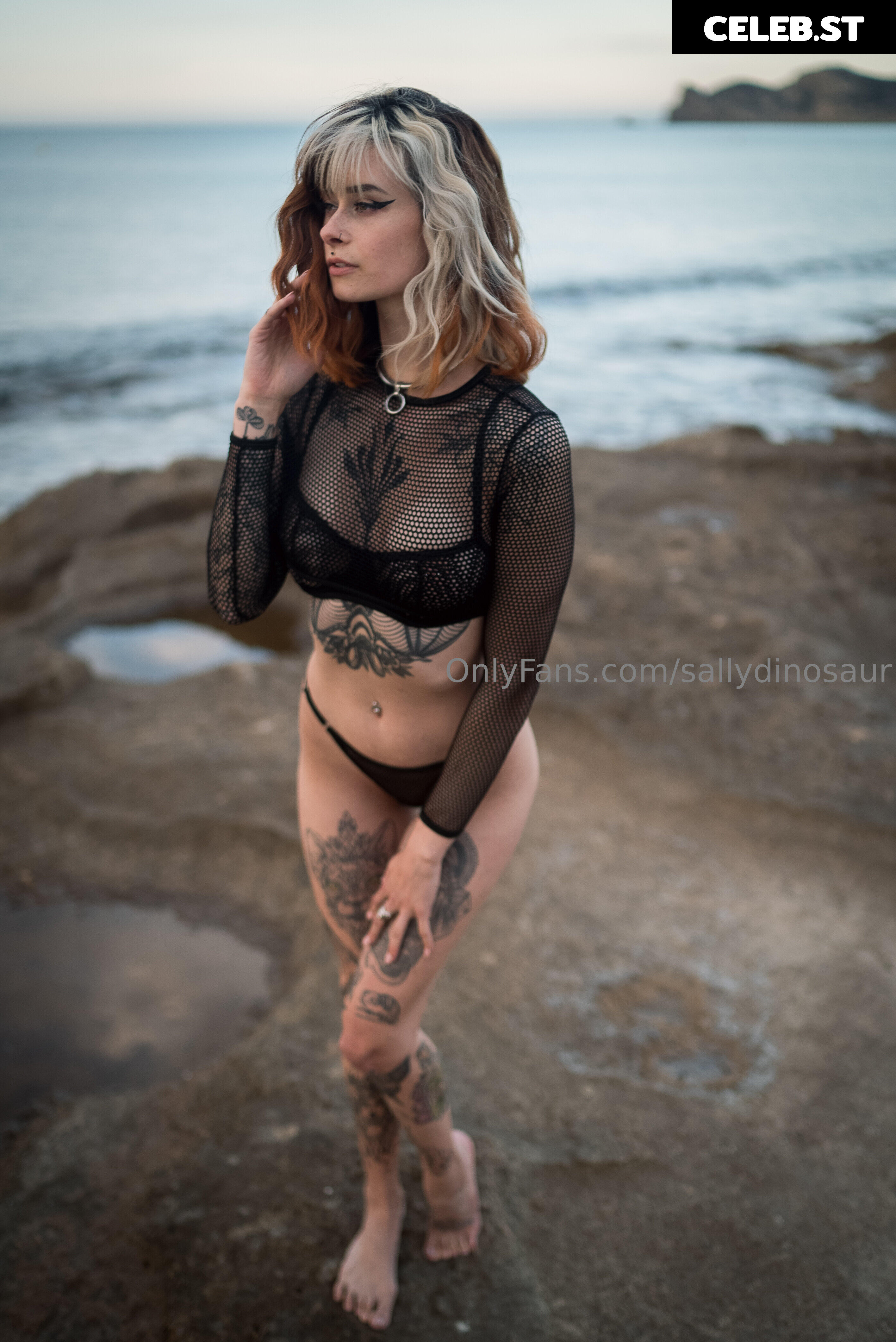 Sallydinosaur Image 2263060