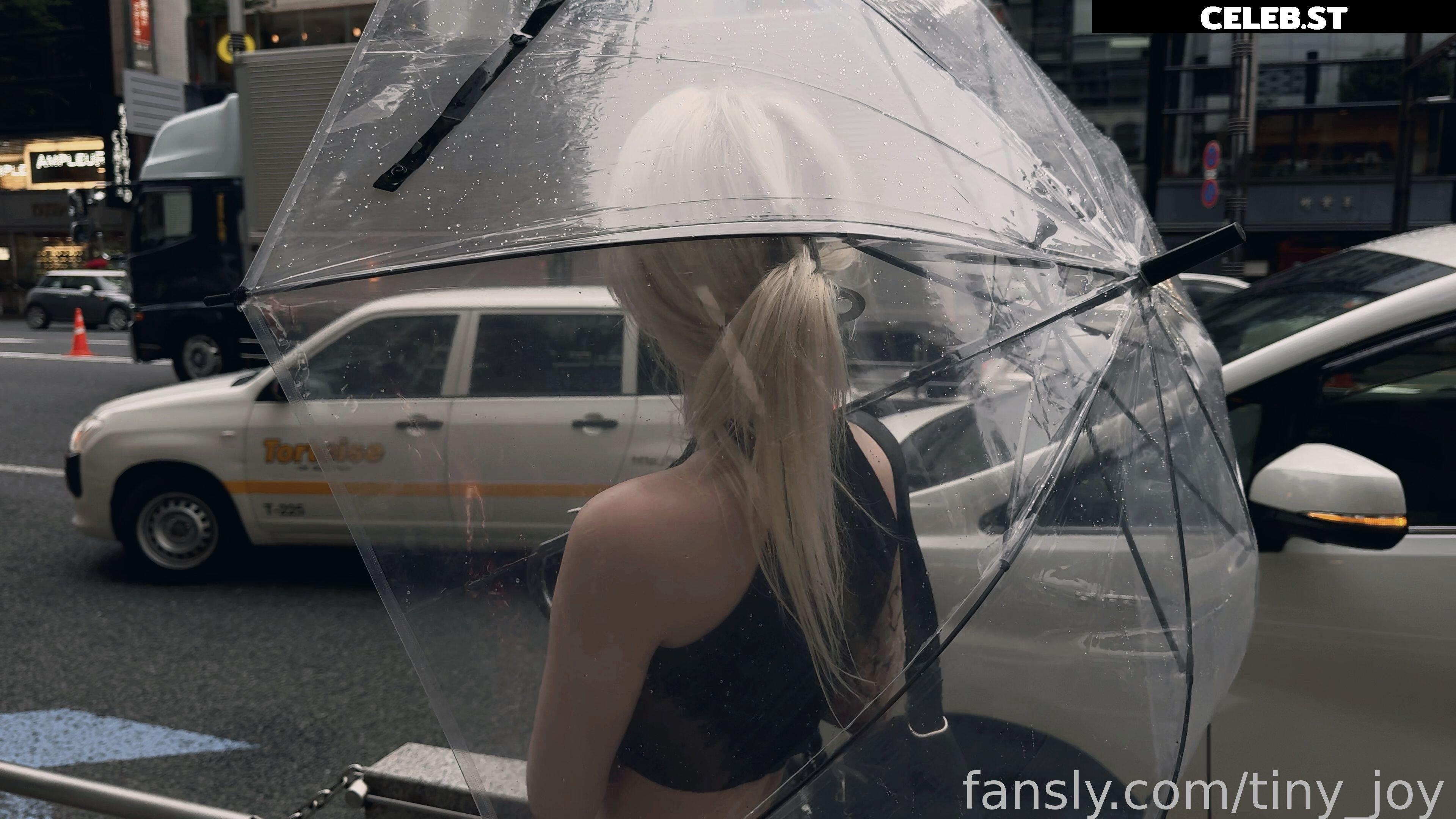 tinyjoy Image 2269080