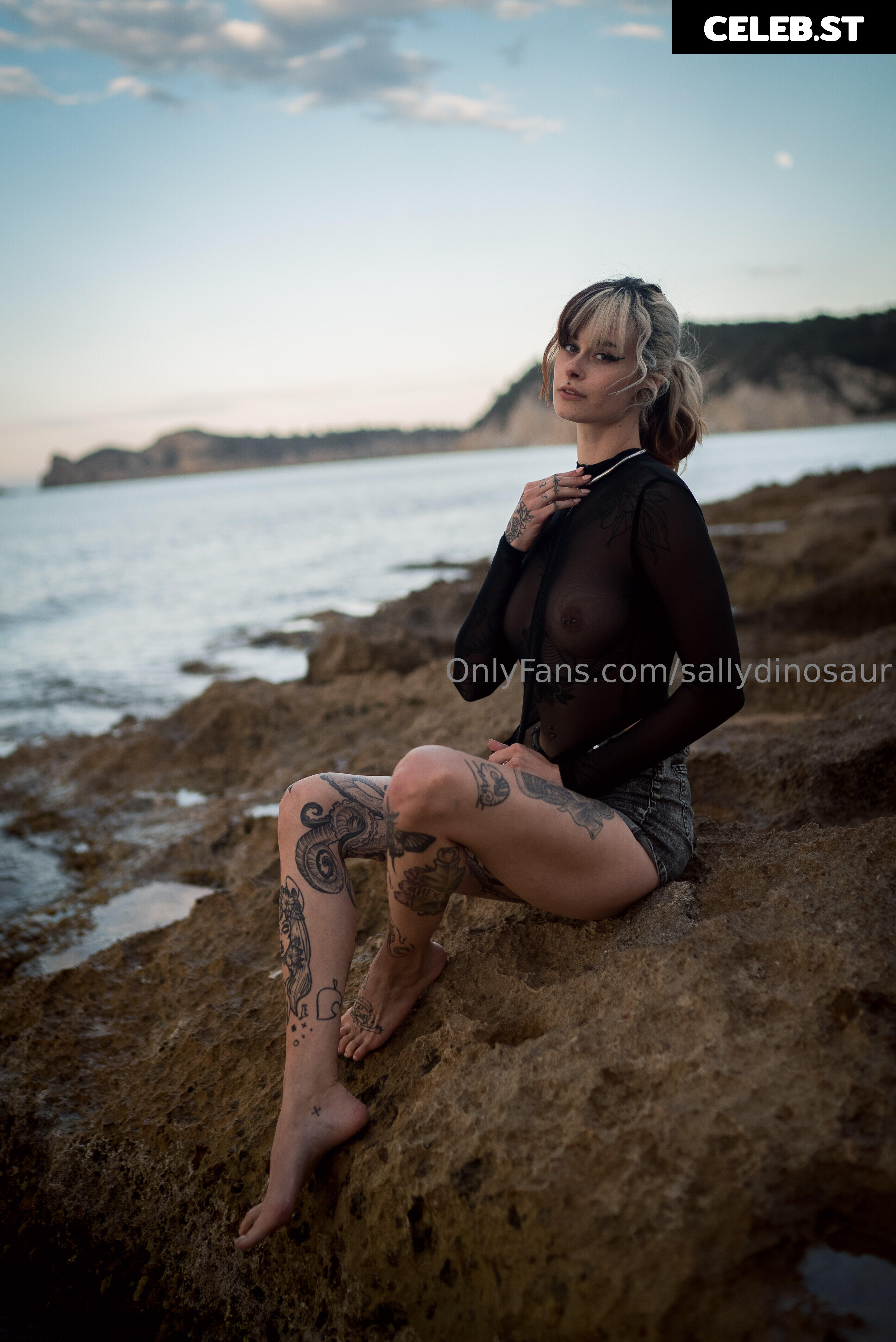 Sallydinosaur Image 2254500