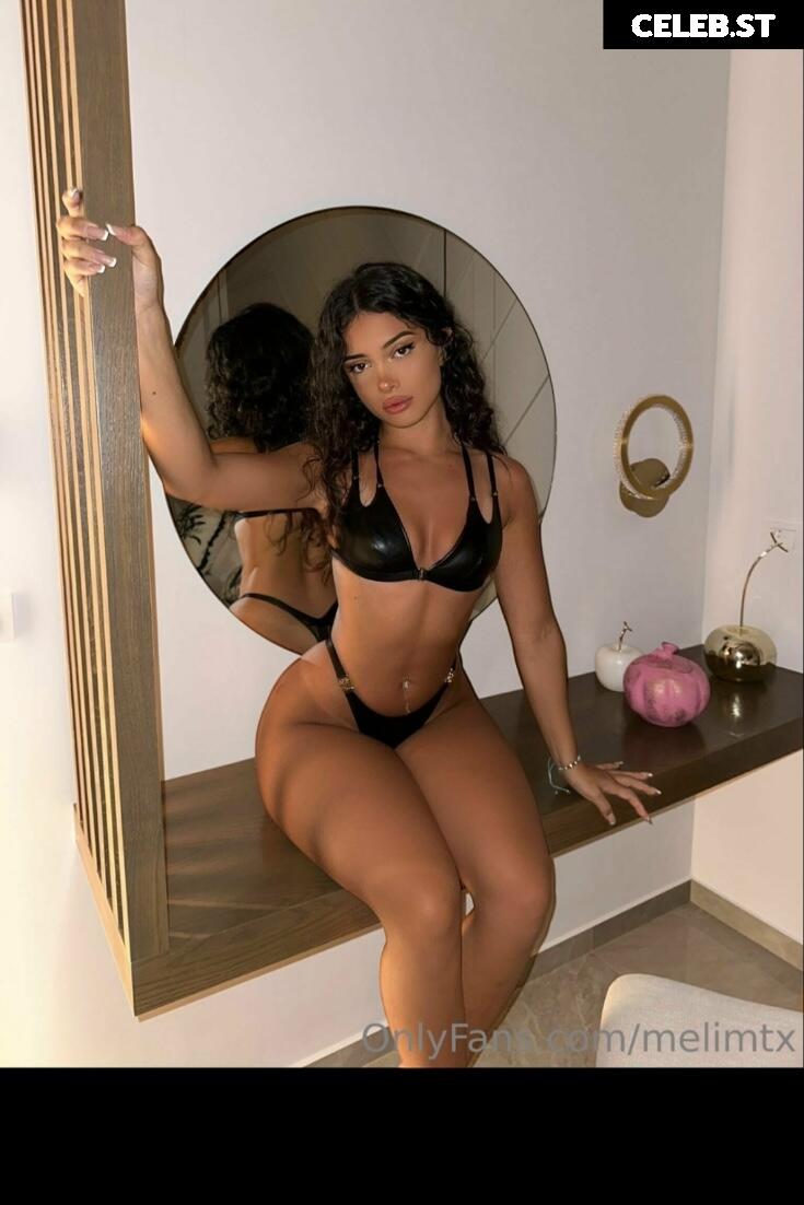 MelimTX Image 2251263