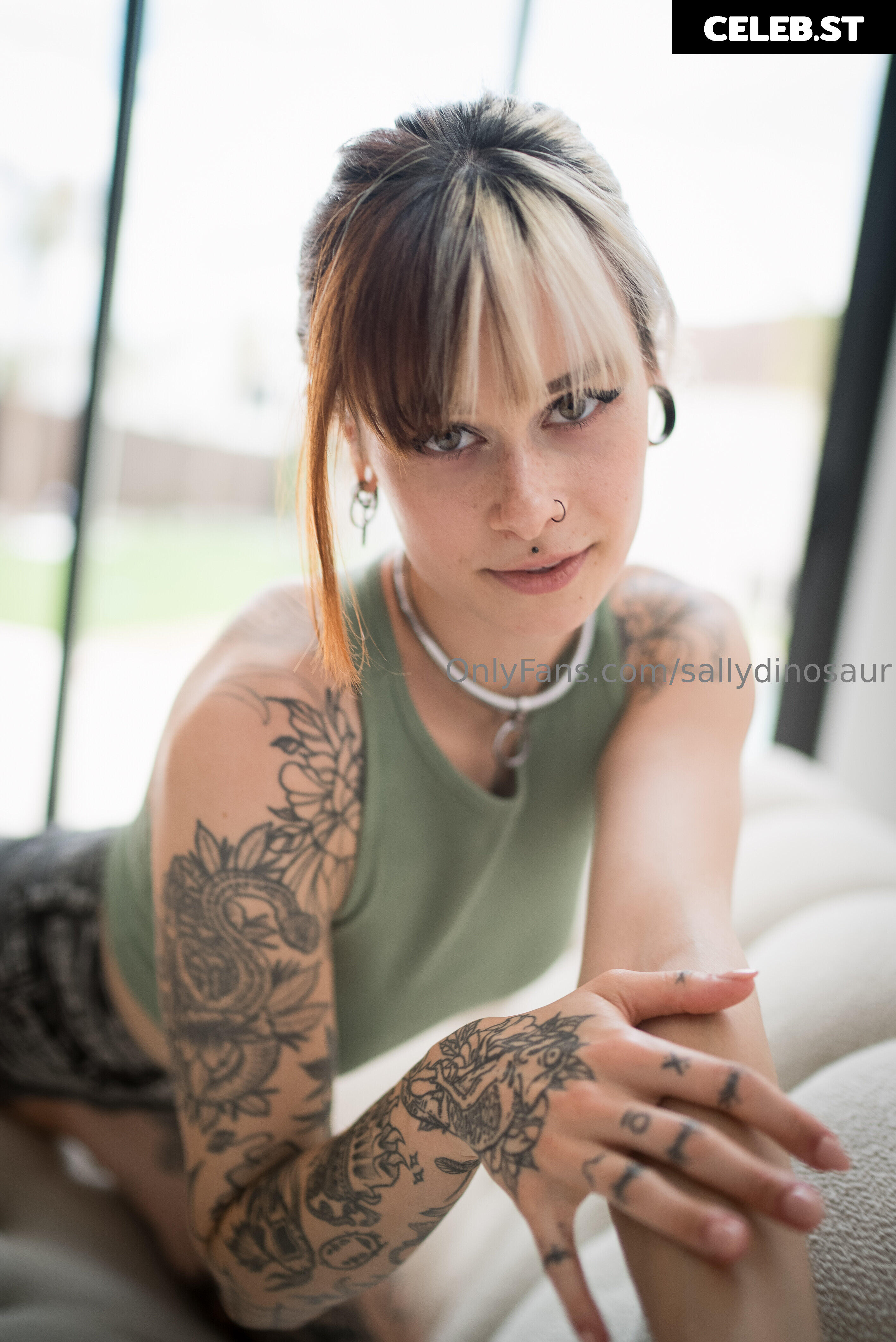 Sallydinosaur Image 2252437