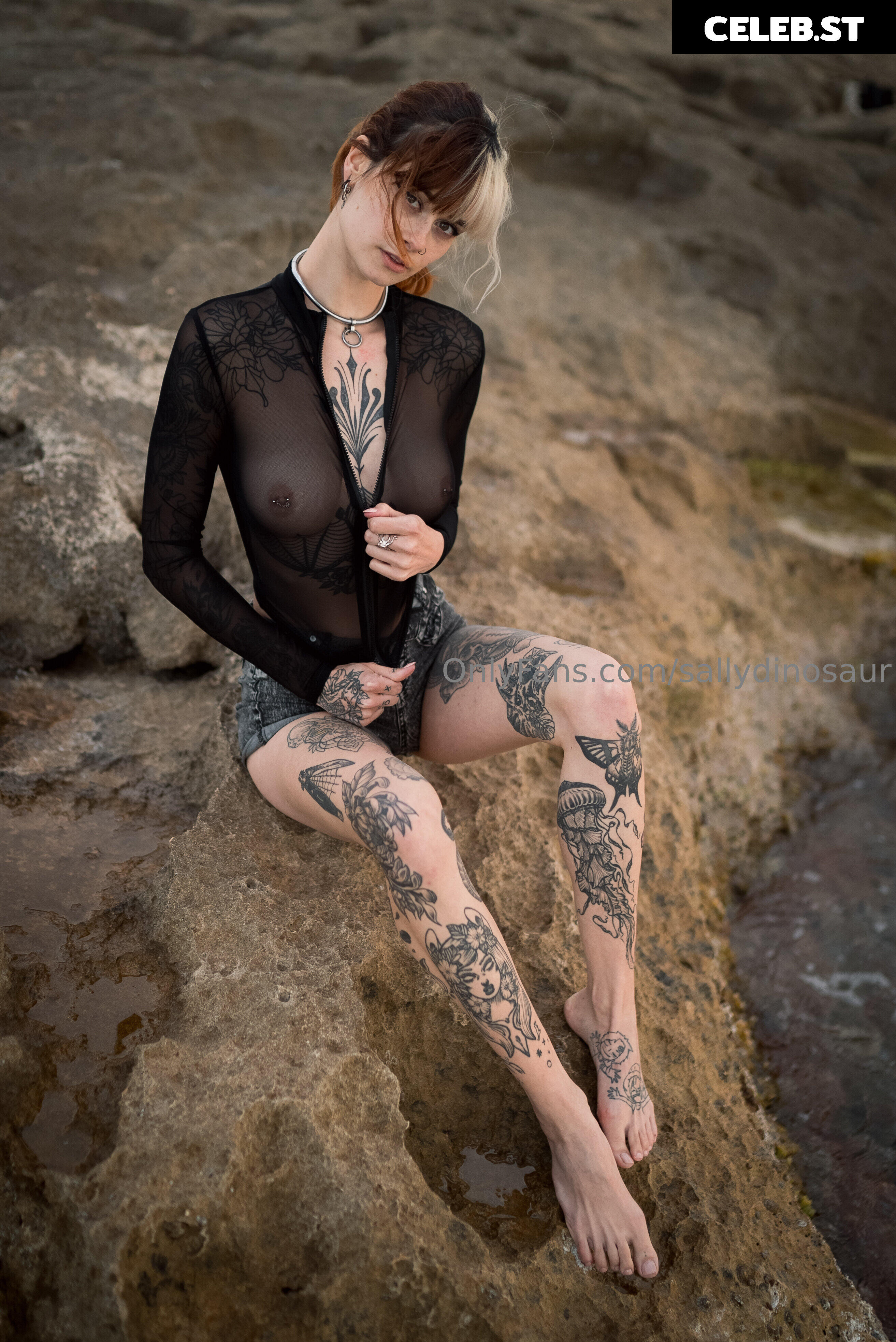 Sallydinosaur Image 2253451