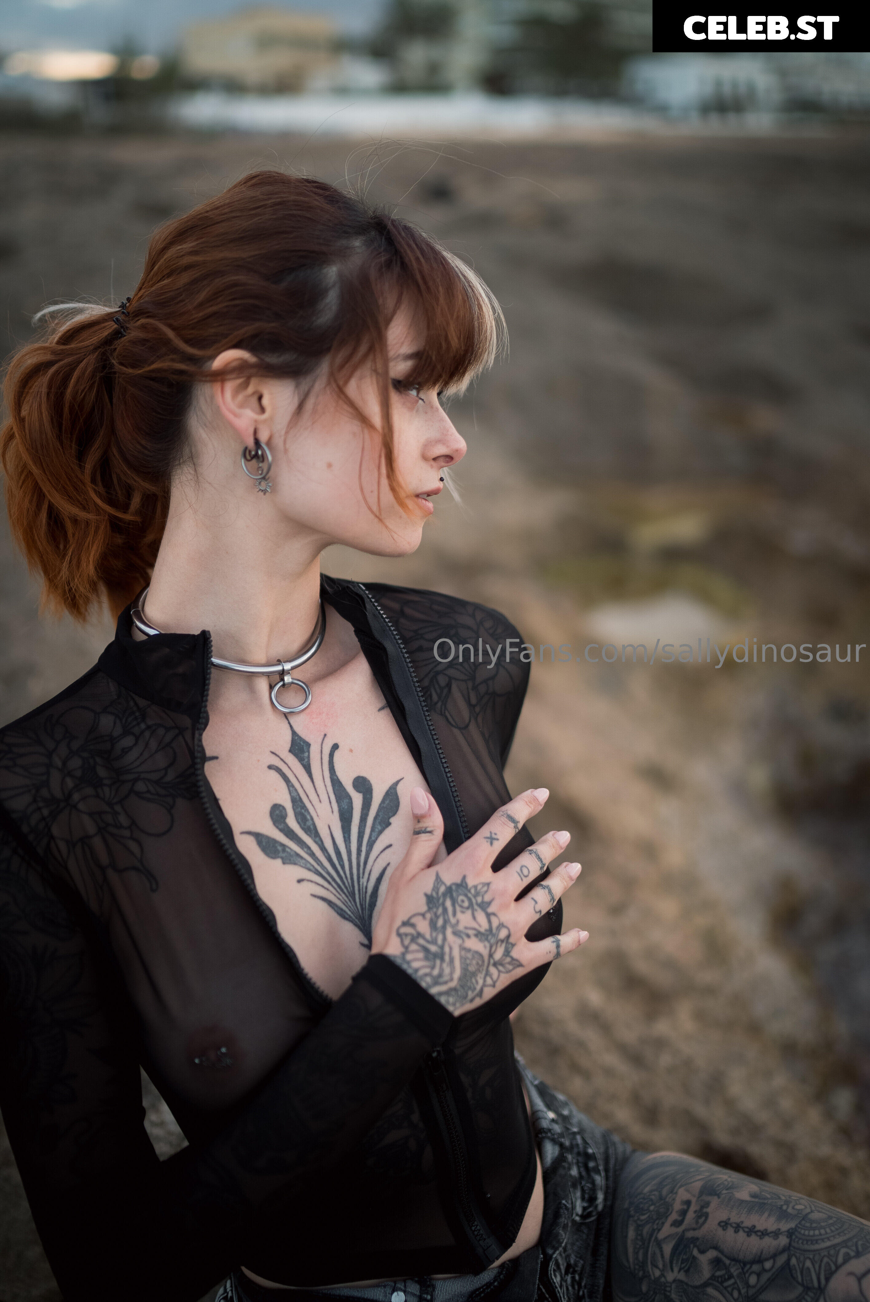 Sallydinosaur Image 2253989