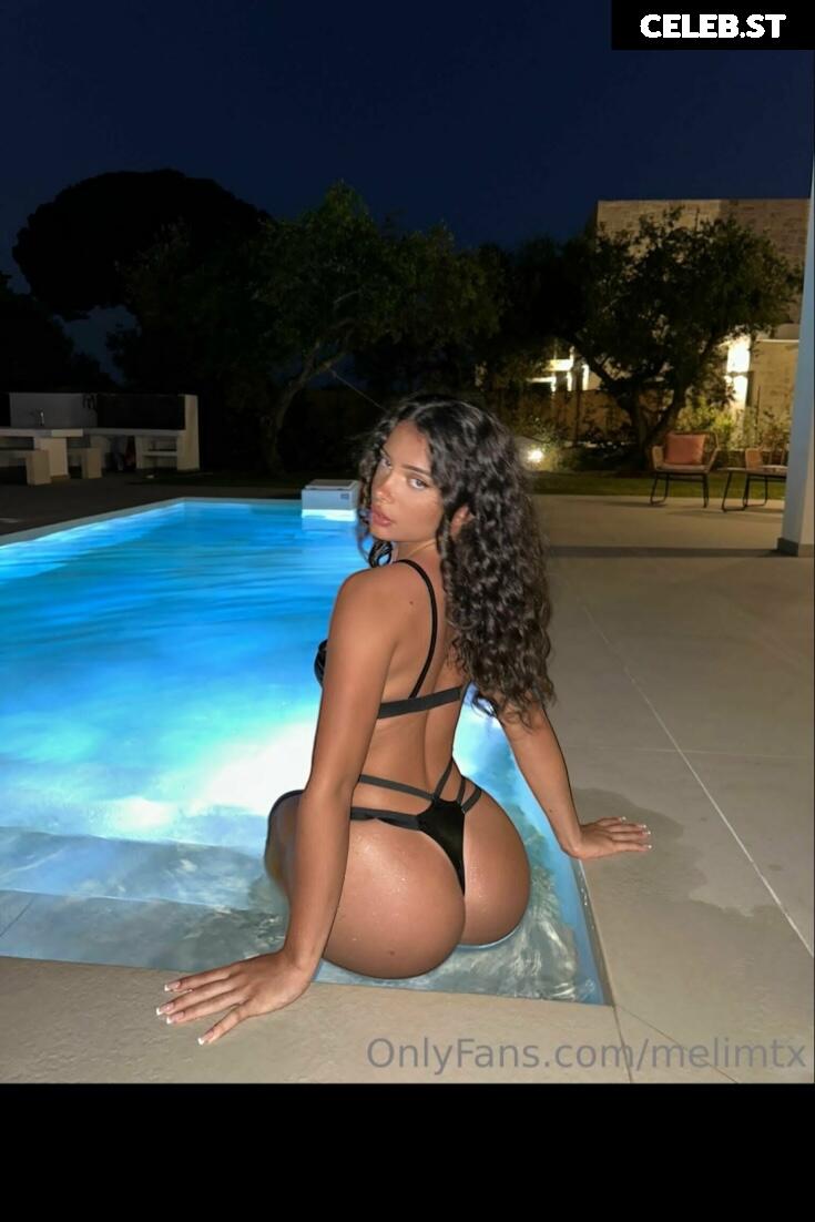 MelimTX Image 2259311