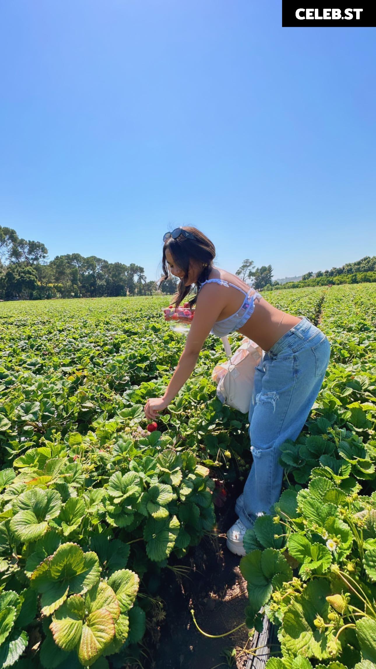 Stella Hudgens Image 2259303
