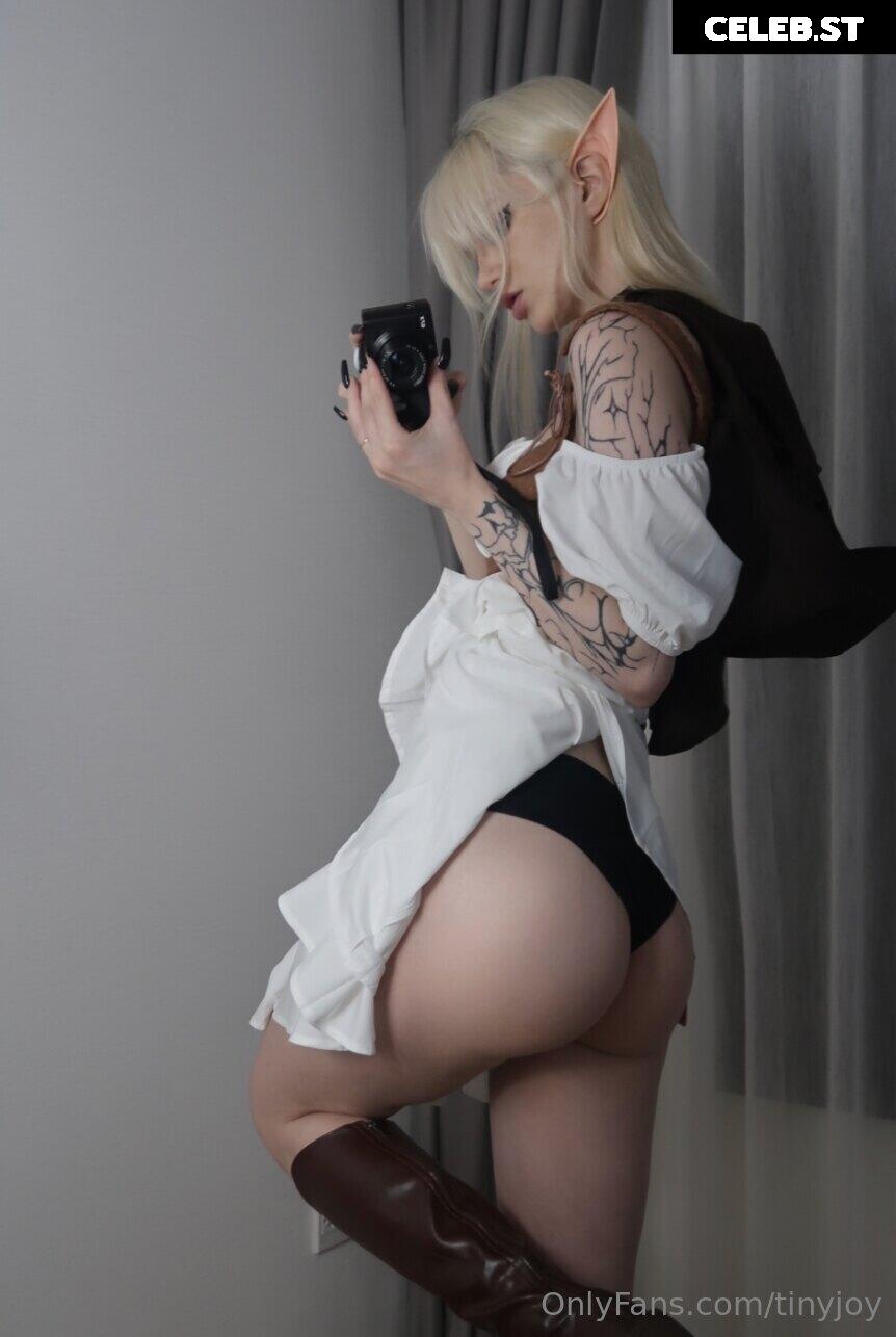 tinyjoy Image 2245537