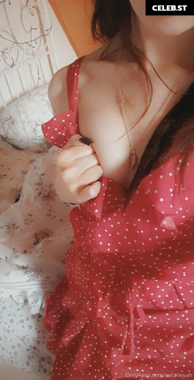 Cata Leyah Image 2244626