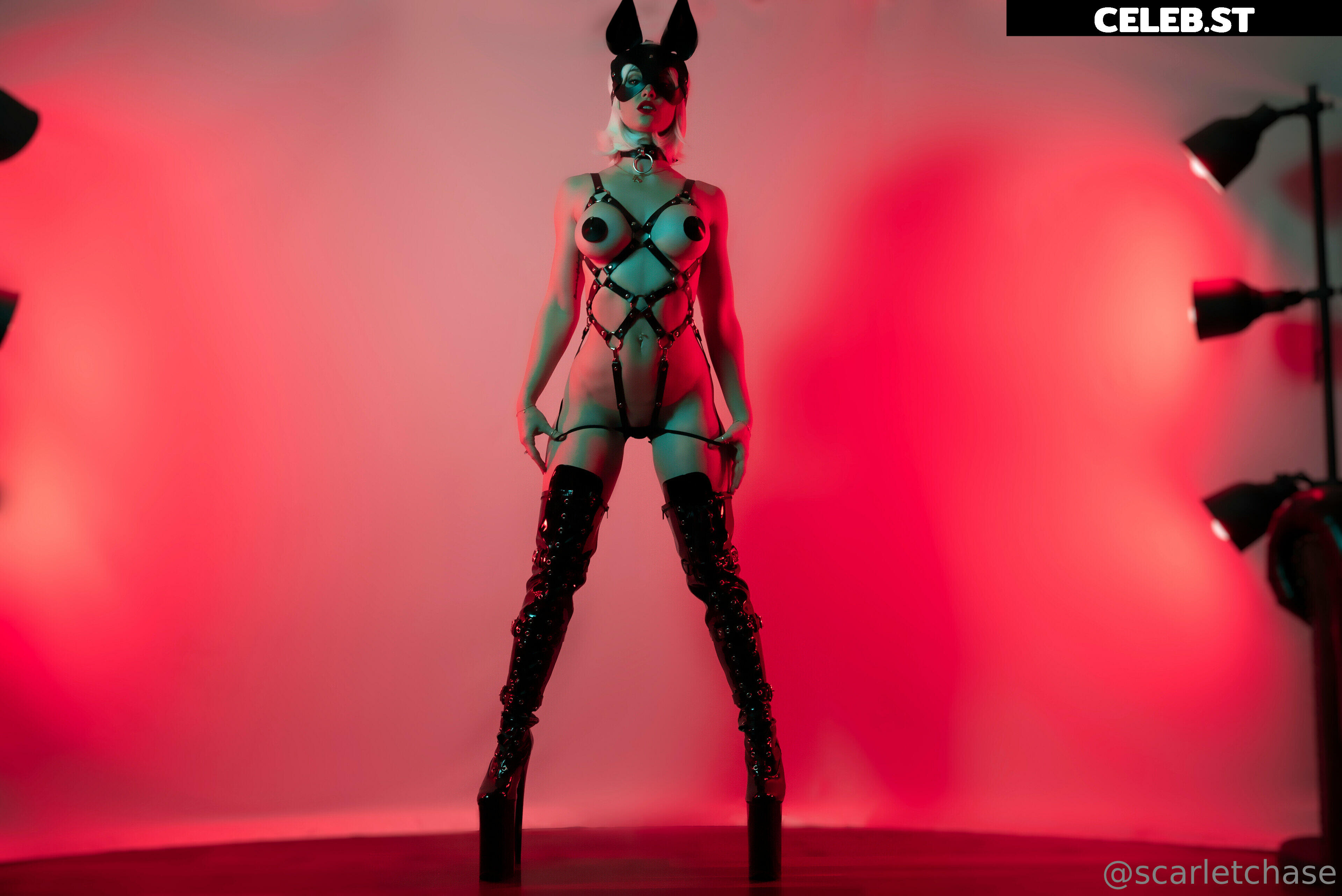 Scarlet Chase Image 2248998