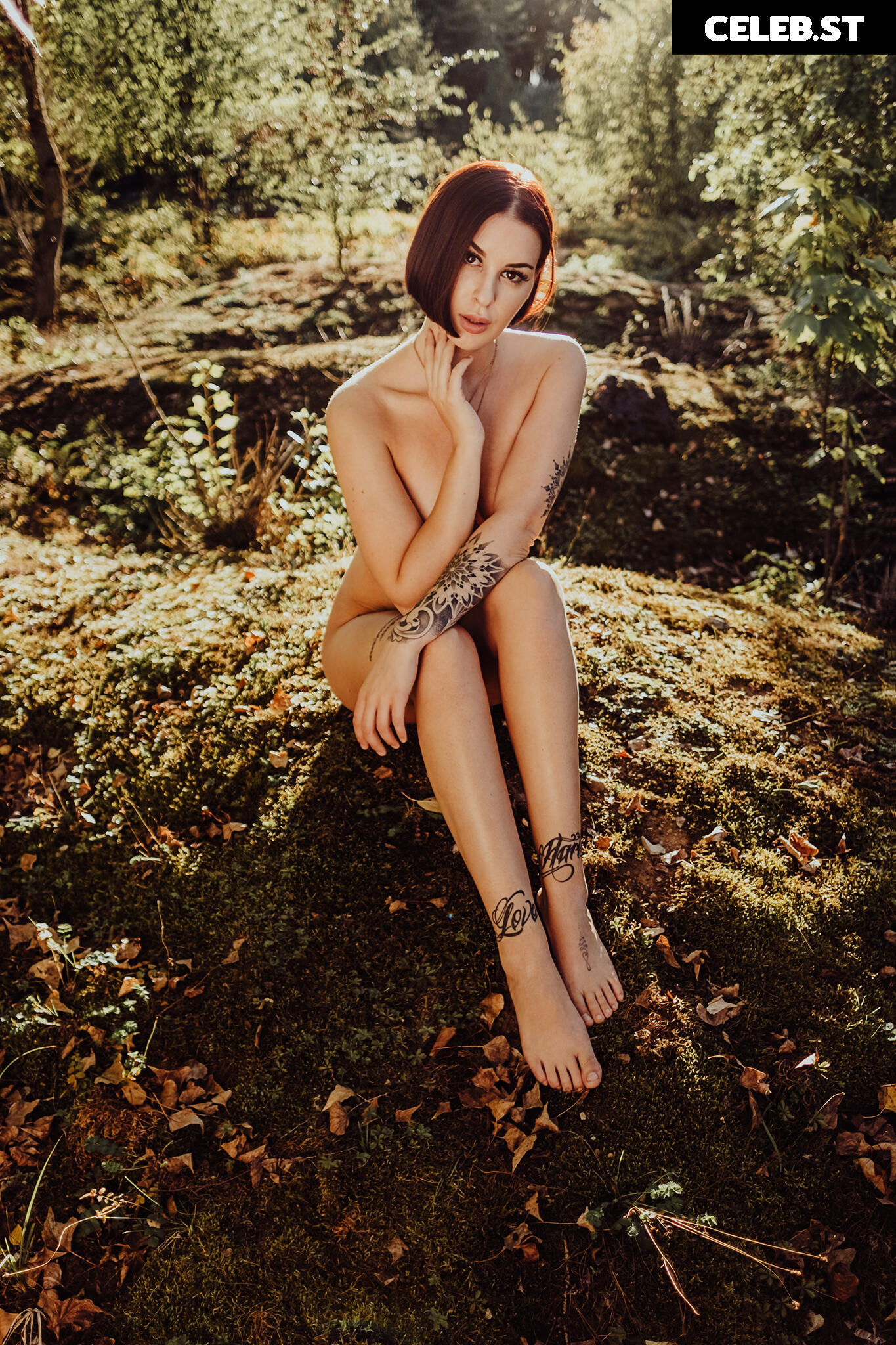 Soxresa Image 2231608