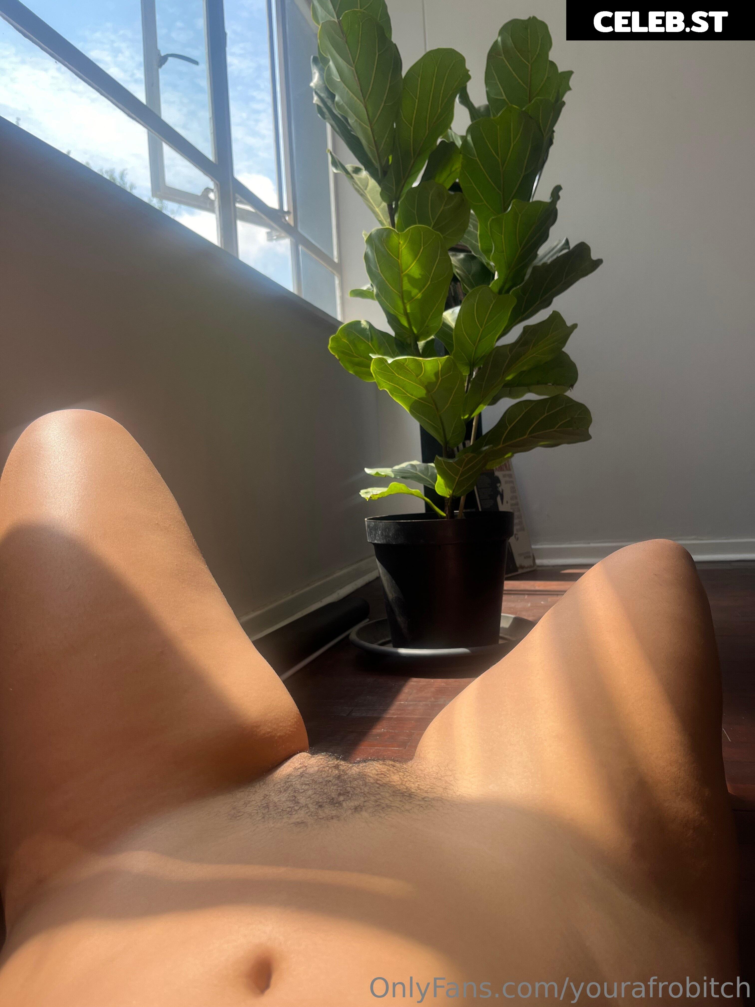 yourafrobitch Image 223118